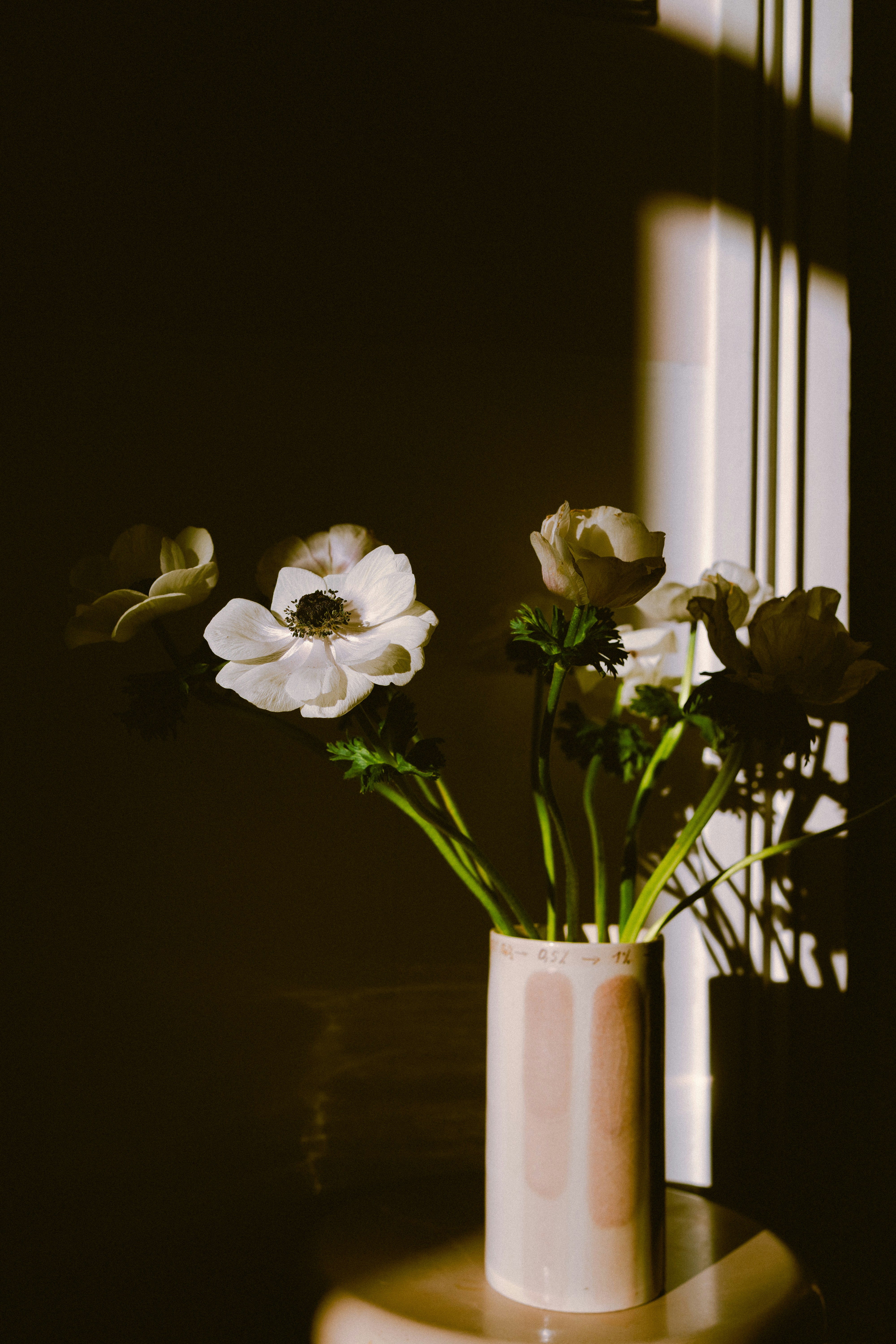 Photo by francescafrann