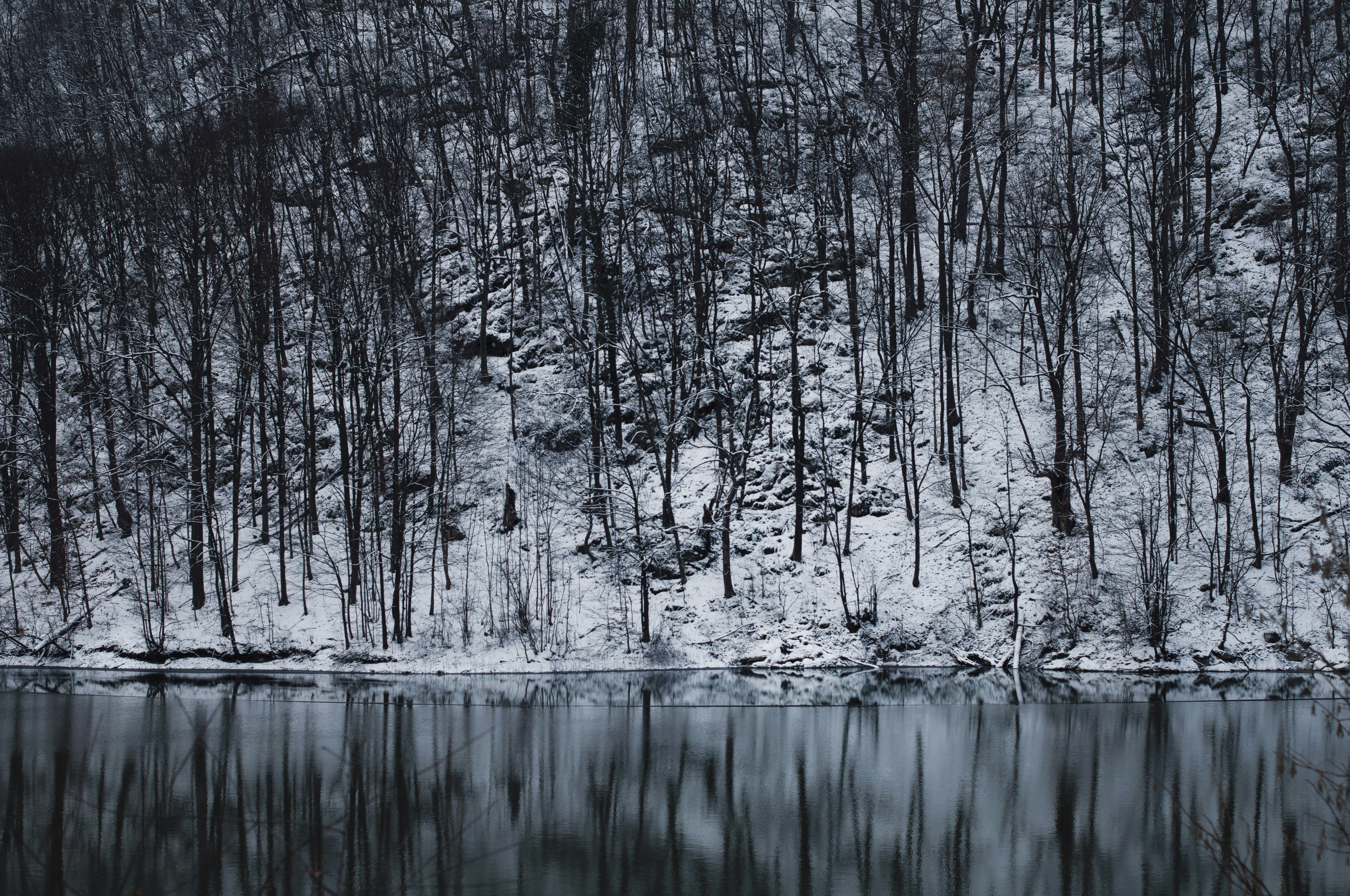 Photo by lubbo