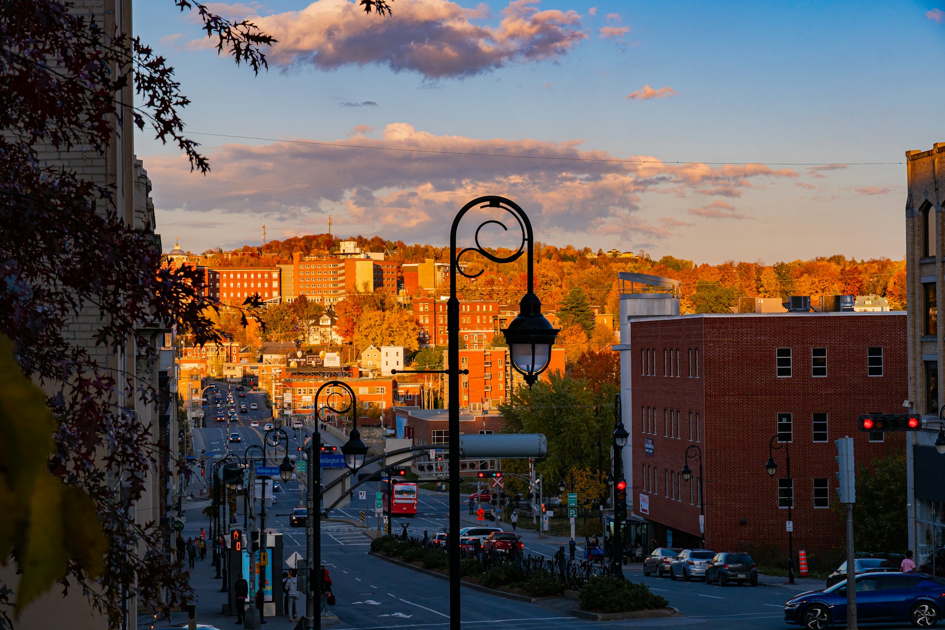 Cityscape view with buildings and autumn trees.