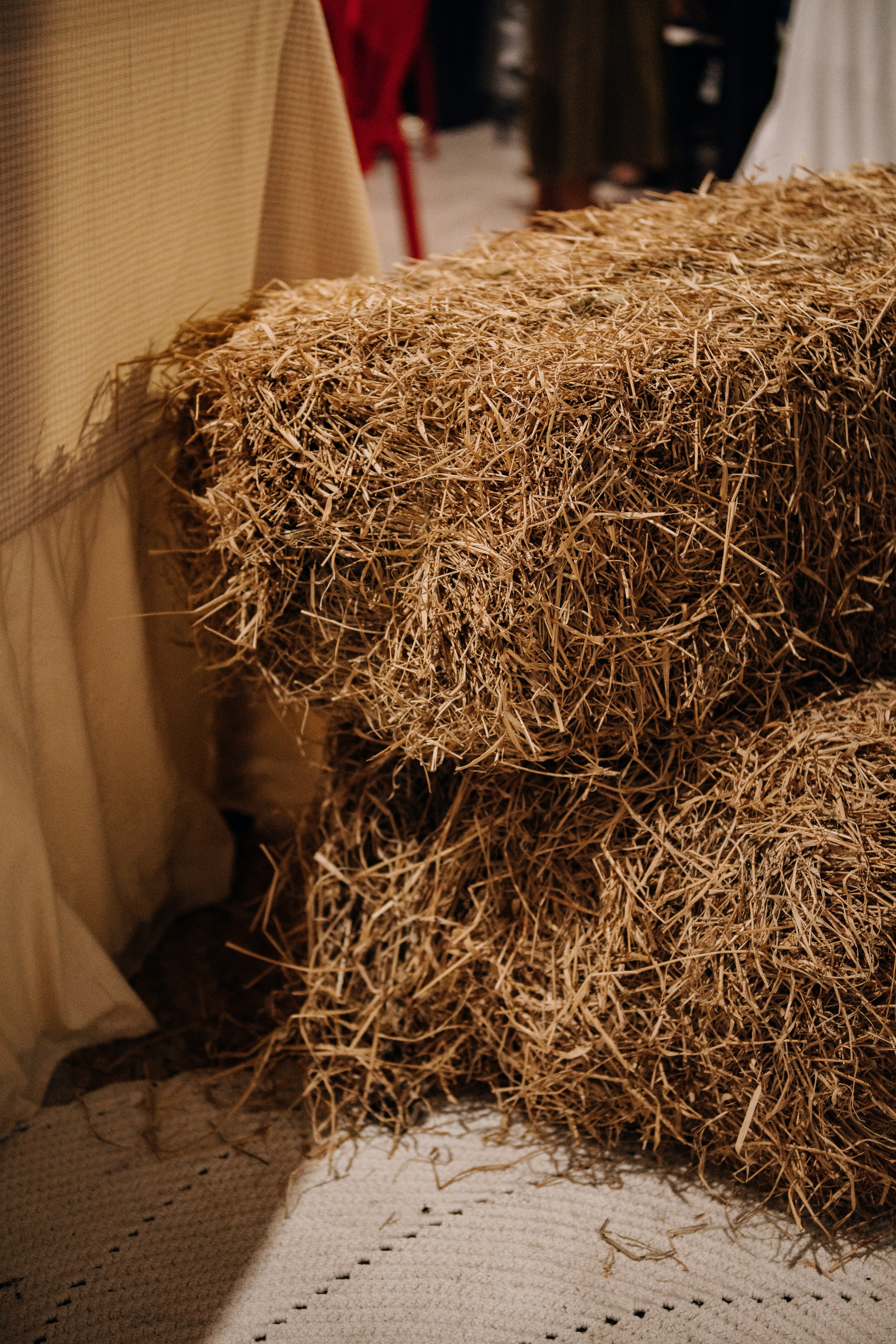 Photo by jefersonsantu