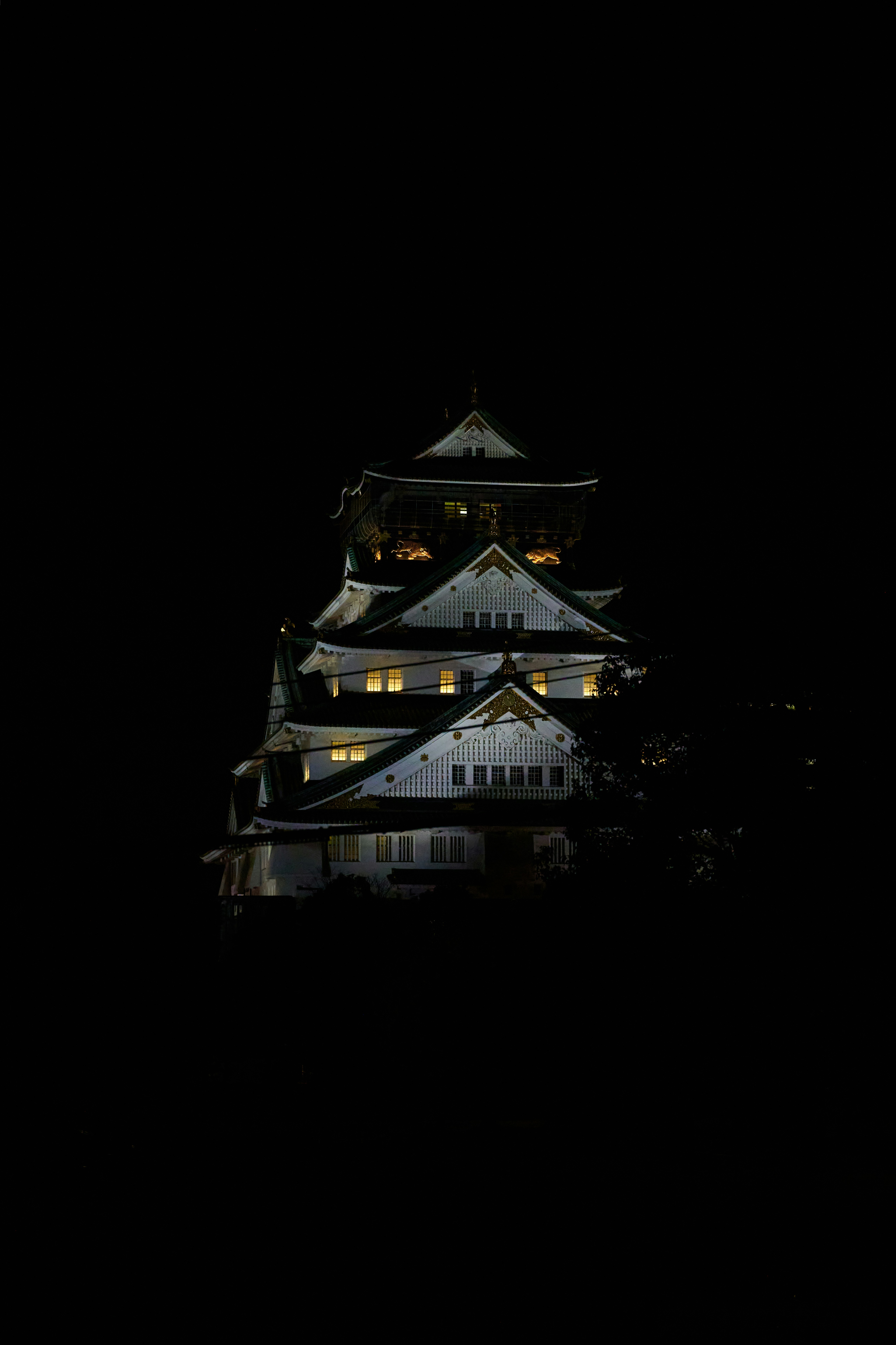 Photo by azamato