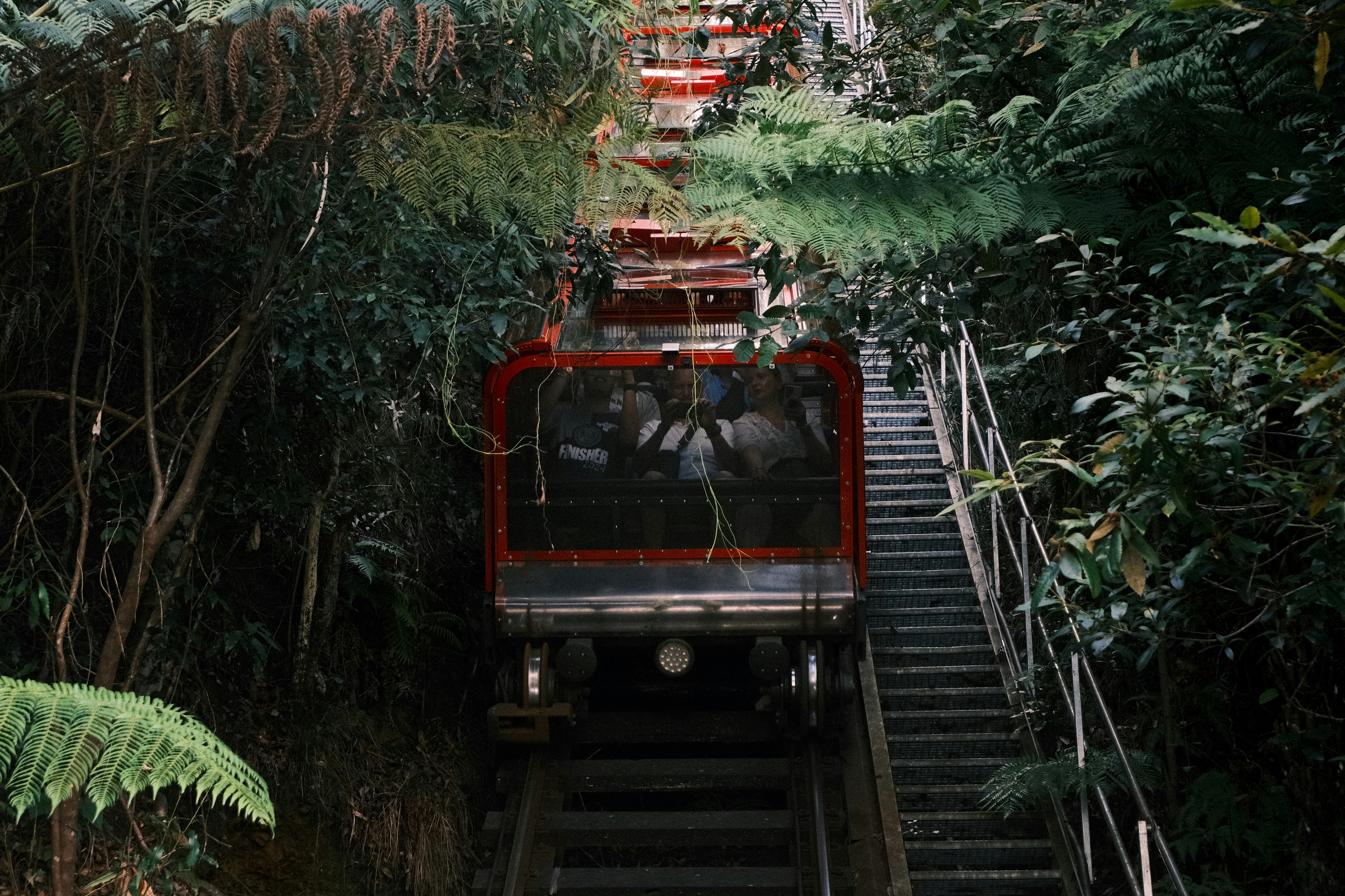 화담숲 모노레일 추천 구간 관련 이미지1
