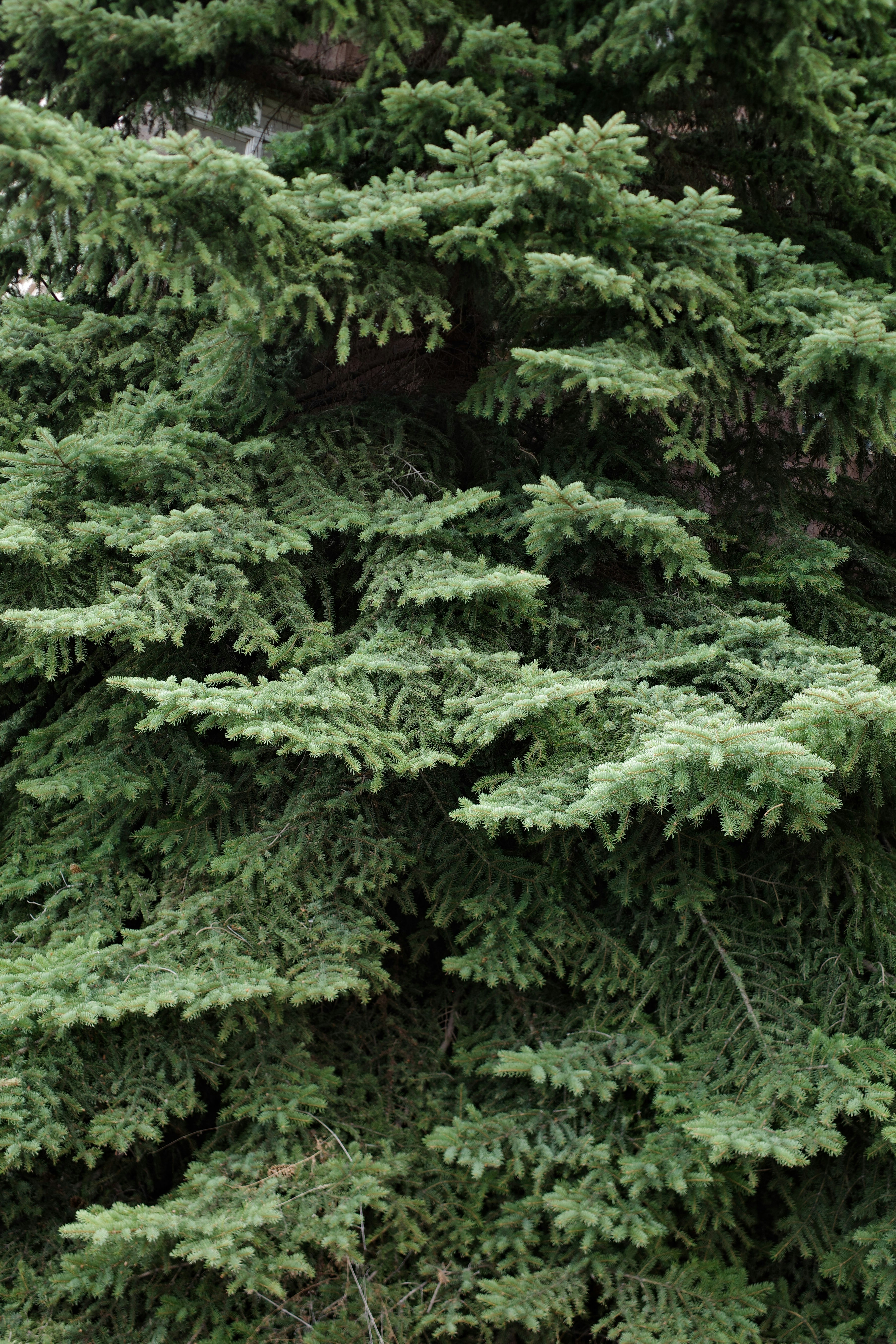 Photo by kennyzhang29