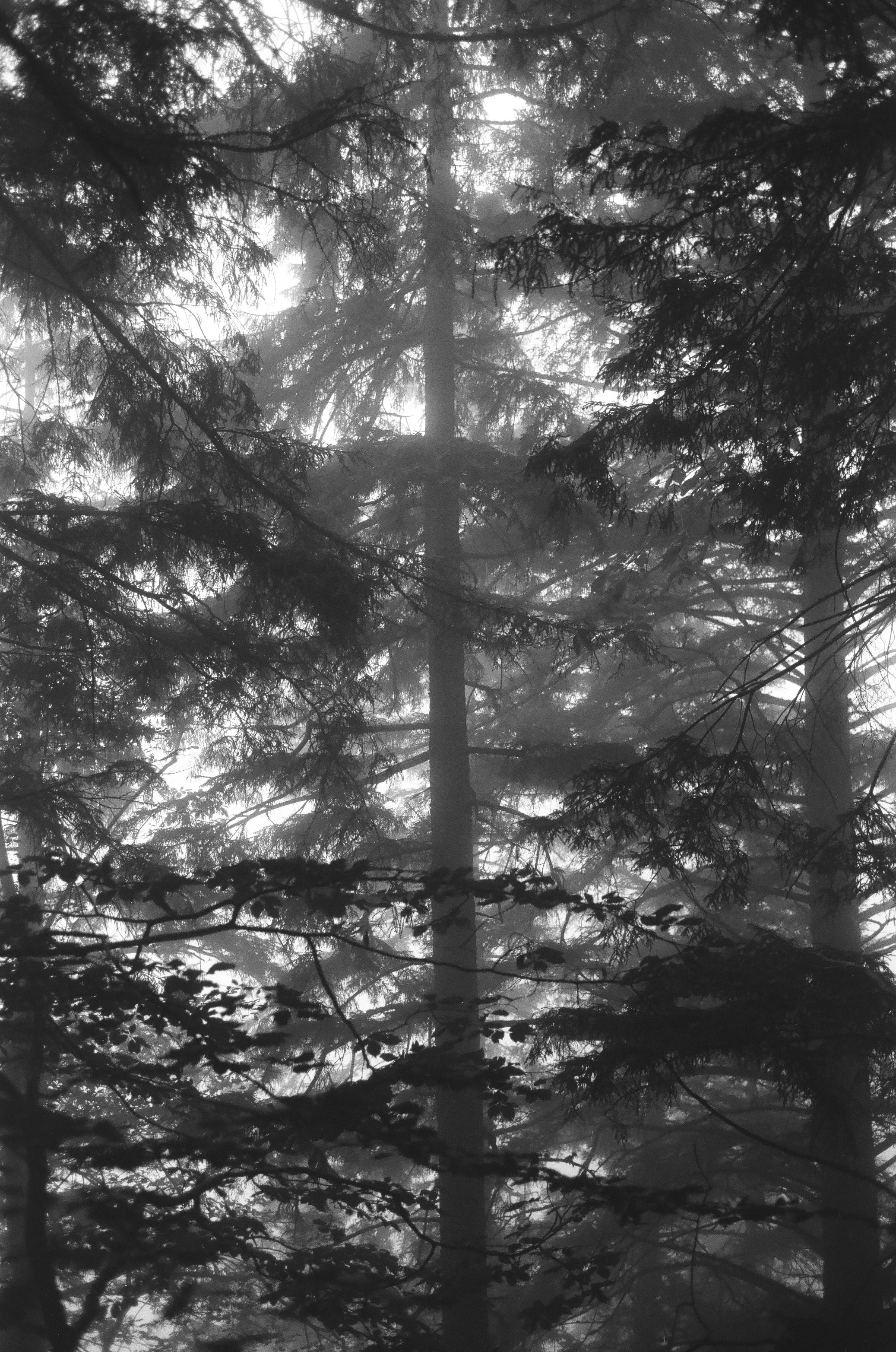 Photo by kennyzhang29