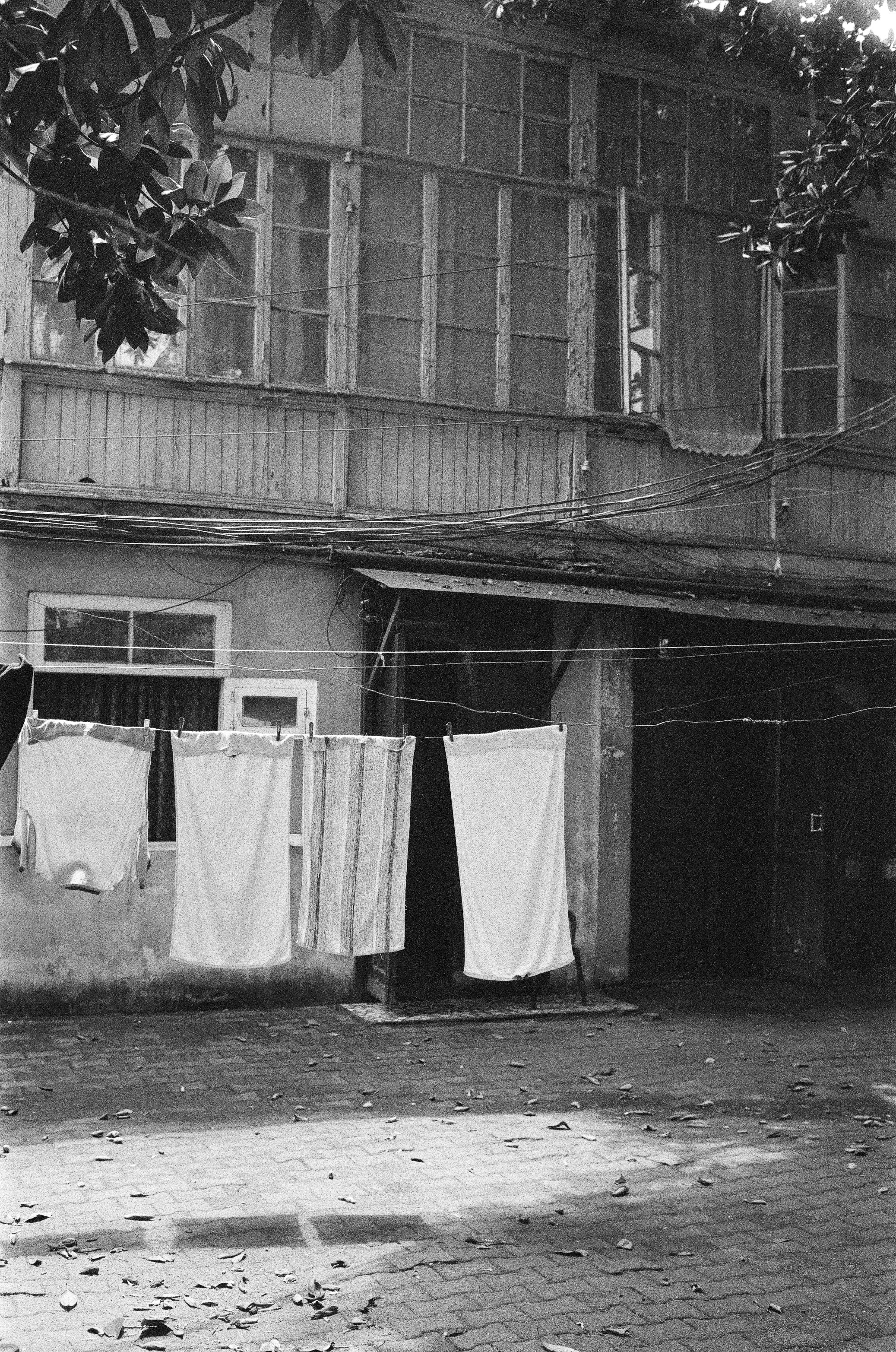 Photo by kennyzhang29