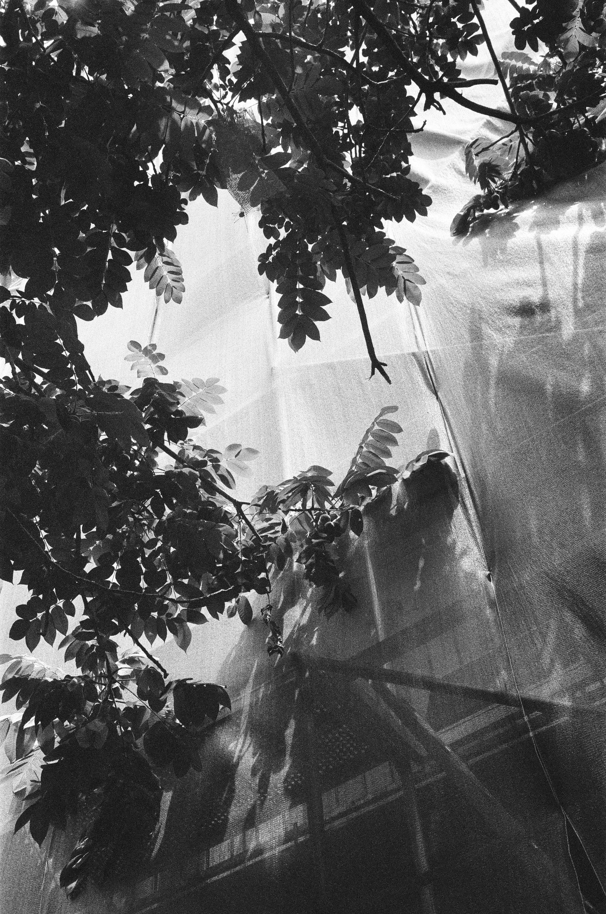 Photo by kennyzhang29