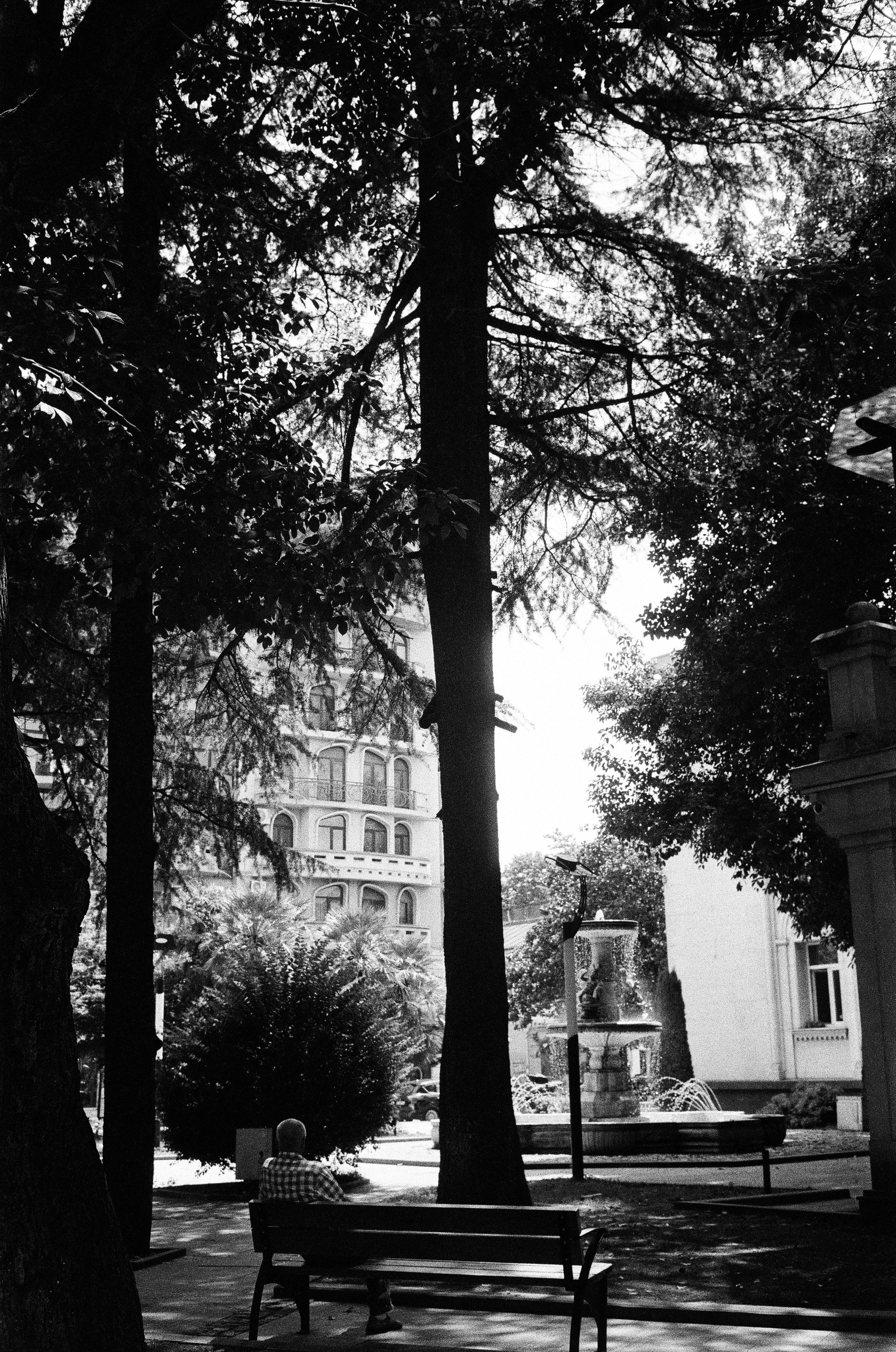 Photo by kennyzhang29