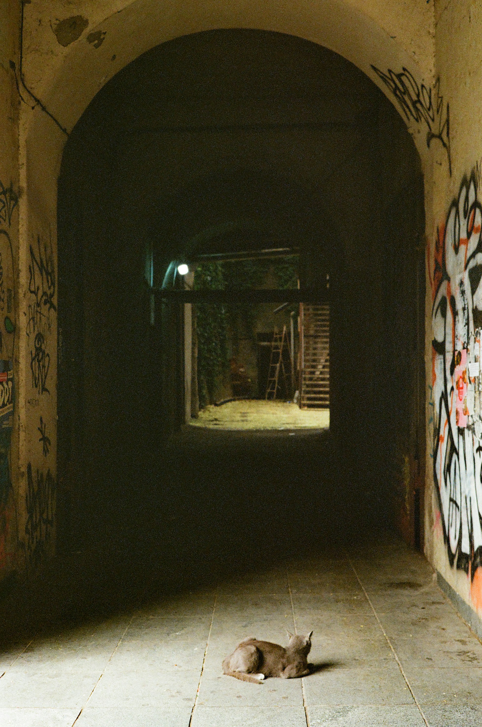 Photo by kennyzhang29