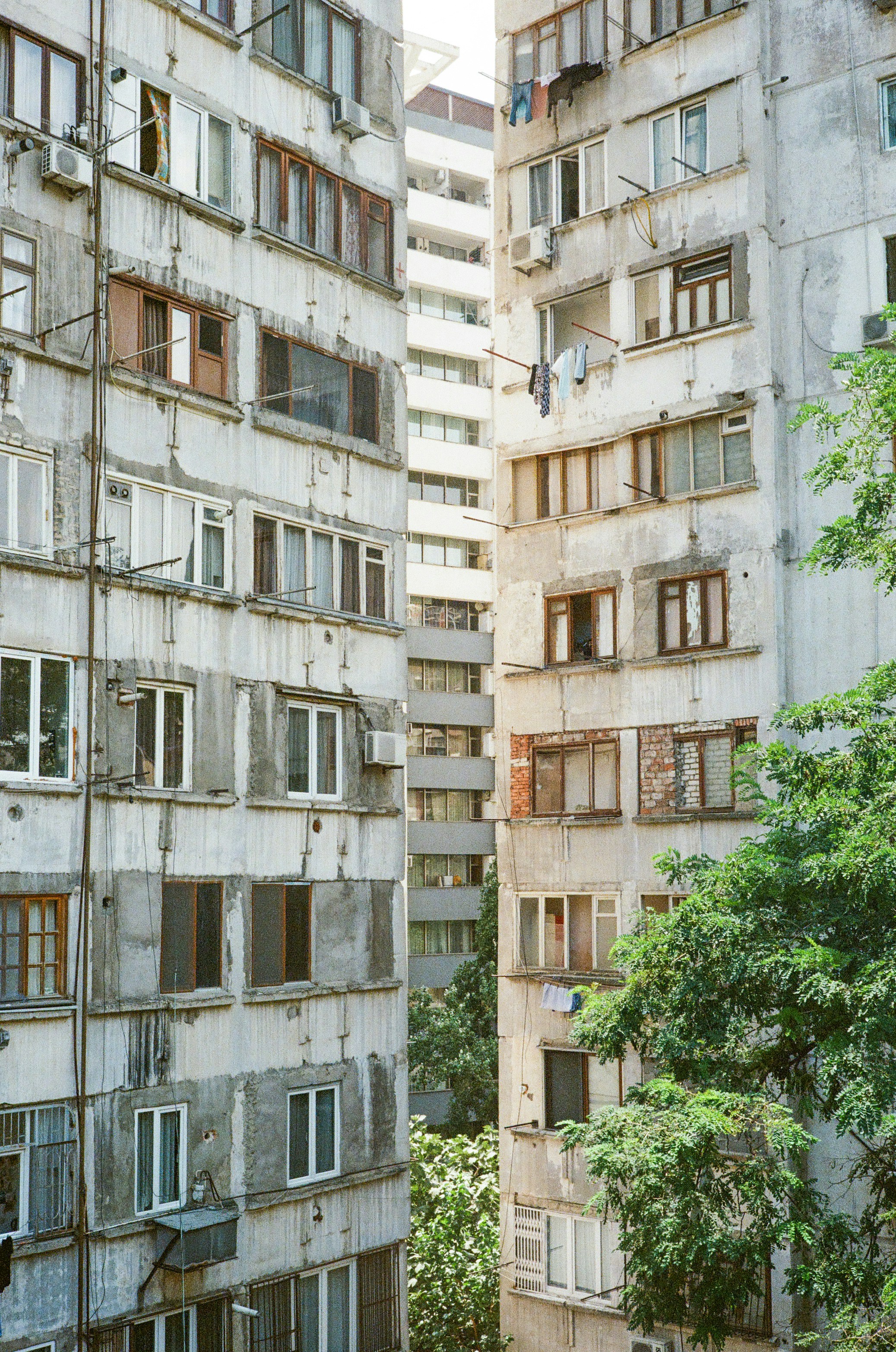 Photo by kennyzhang29