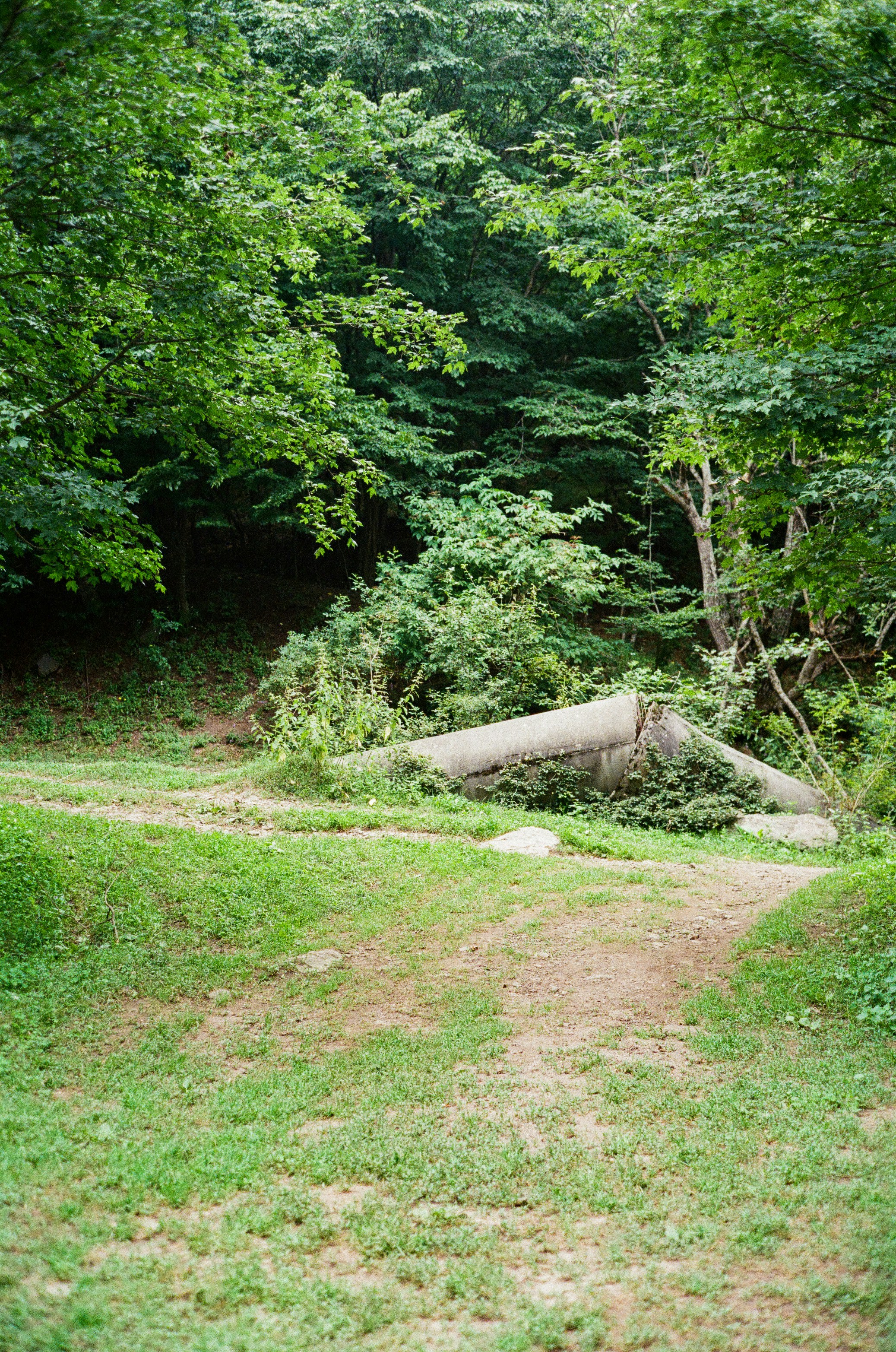 Photo by kennyzhang29