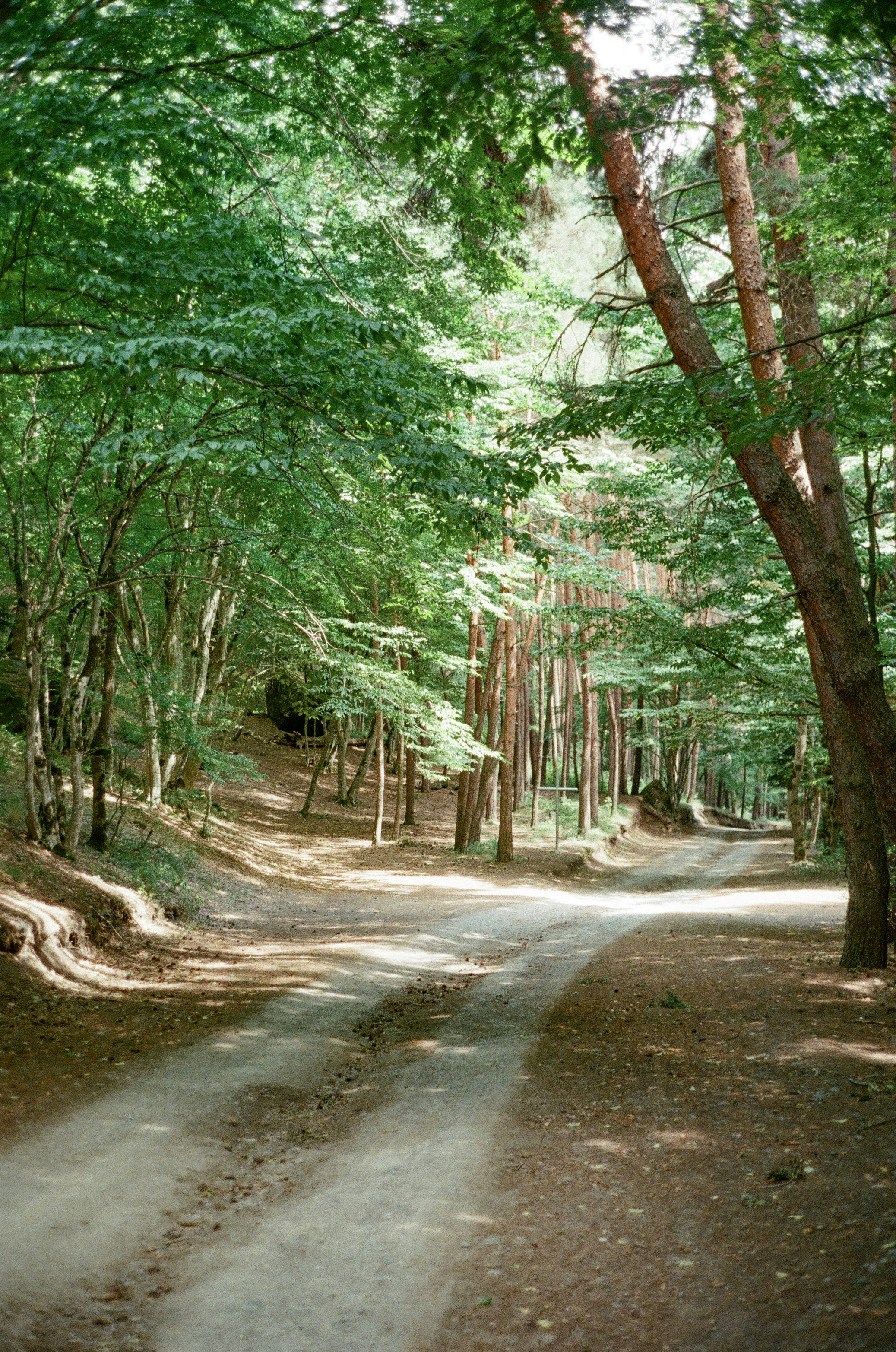 Photo by kennyzhang29