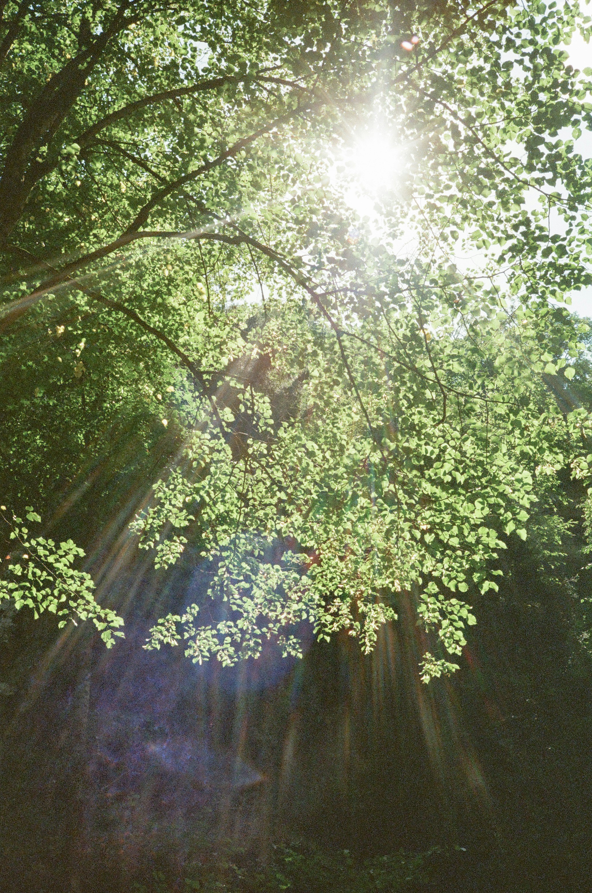 Photo by kennyzhang29