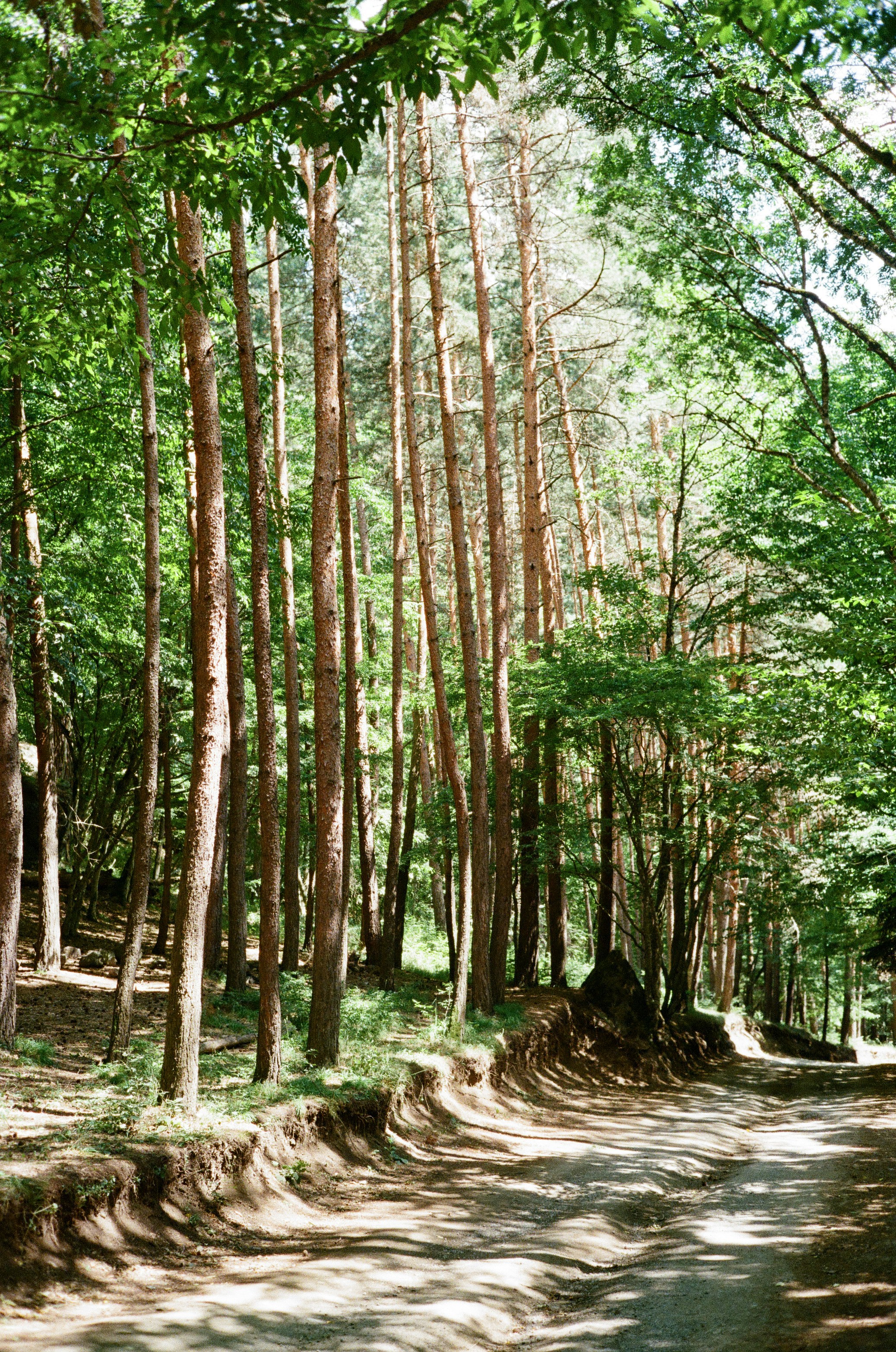 Photo by kennyzhang29