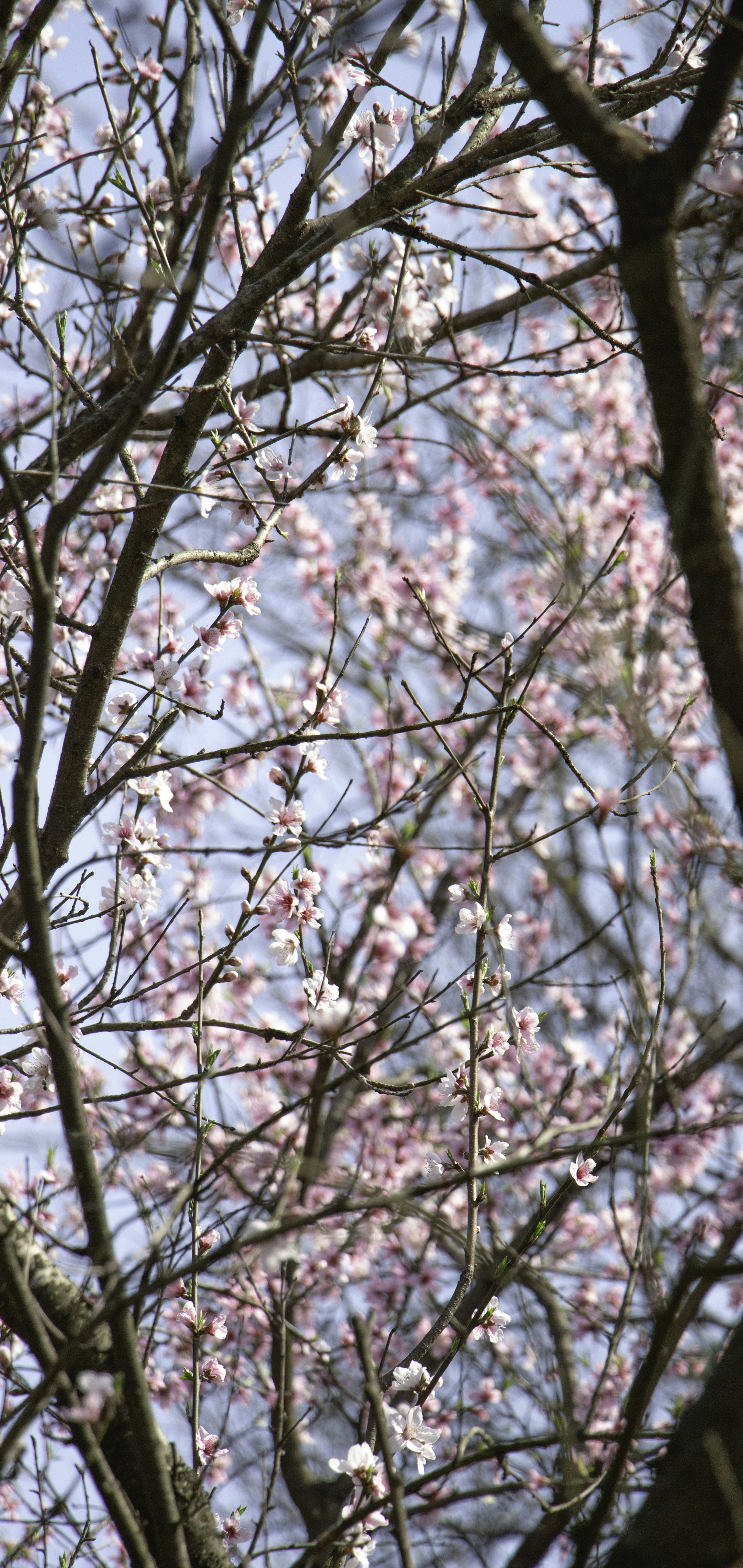 Photo by maro_of_sengu