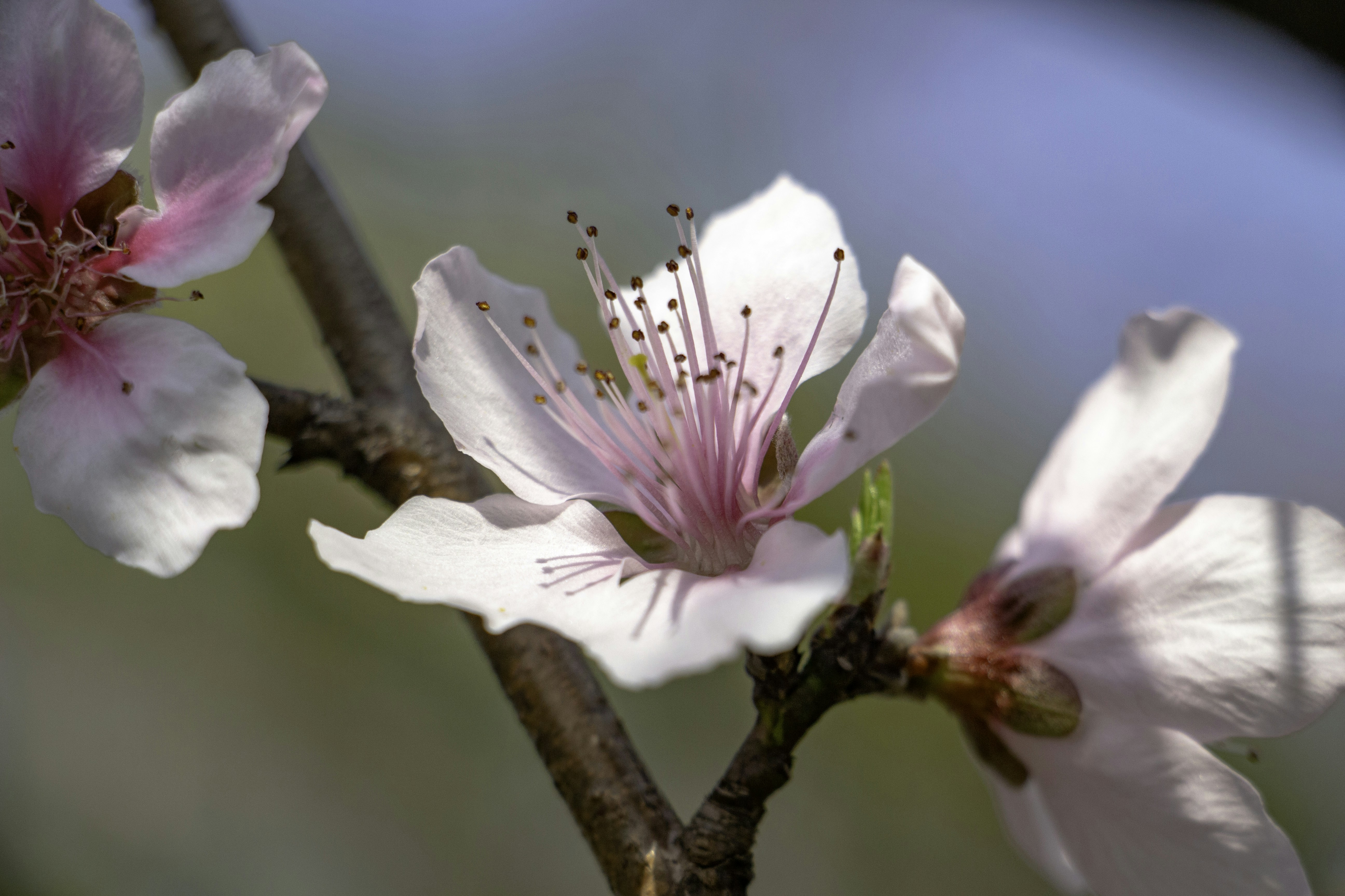 Photo by maro_of_sengu