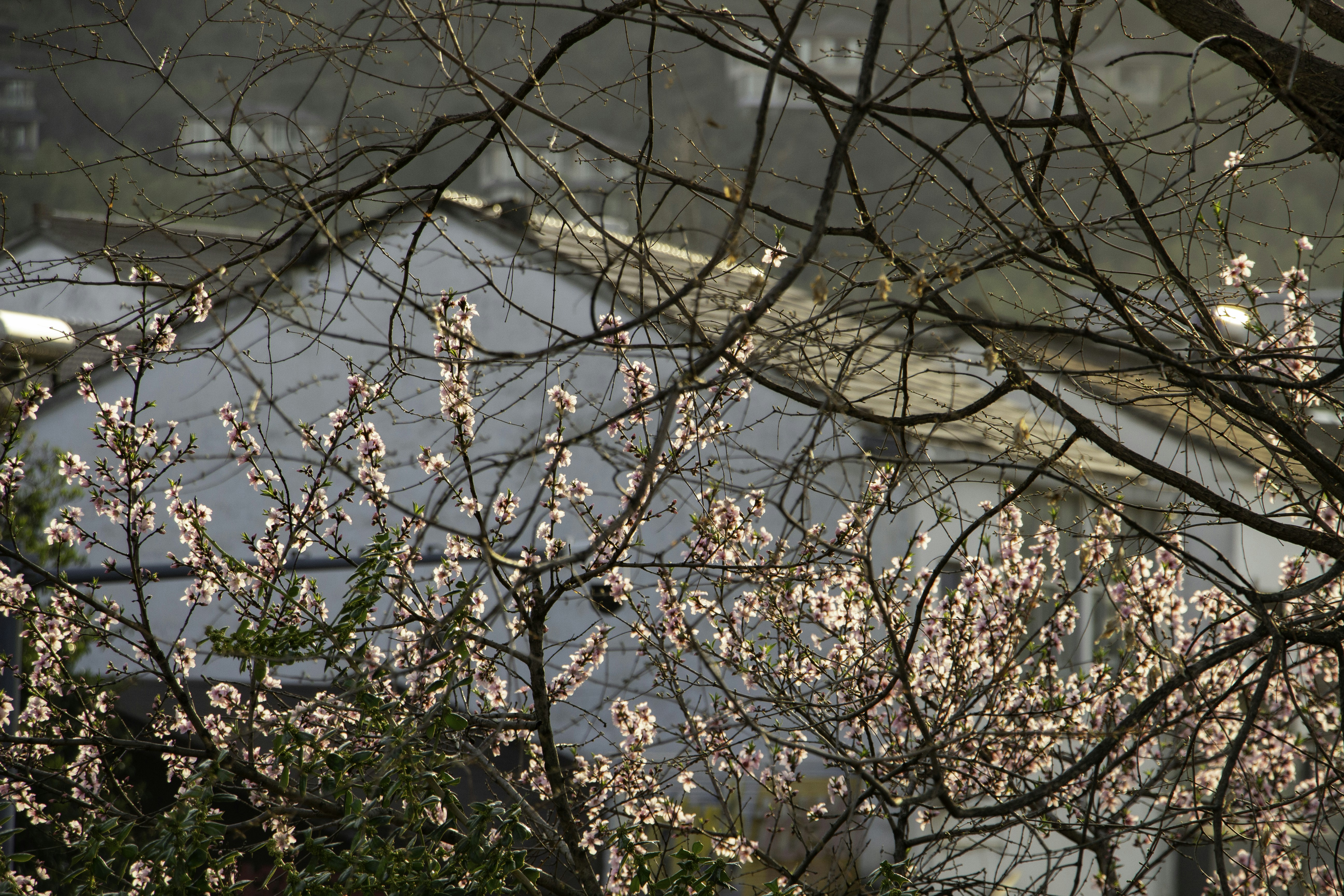 Photo by maro_of_sengu