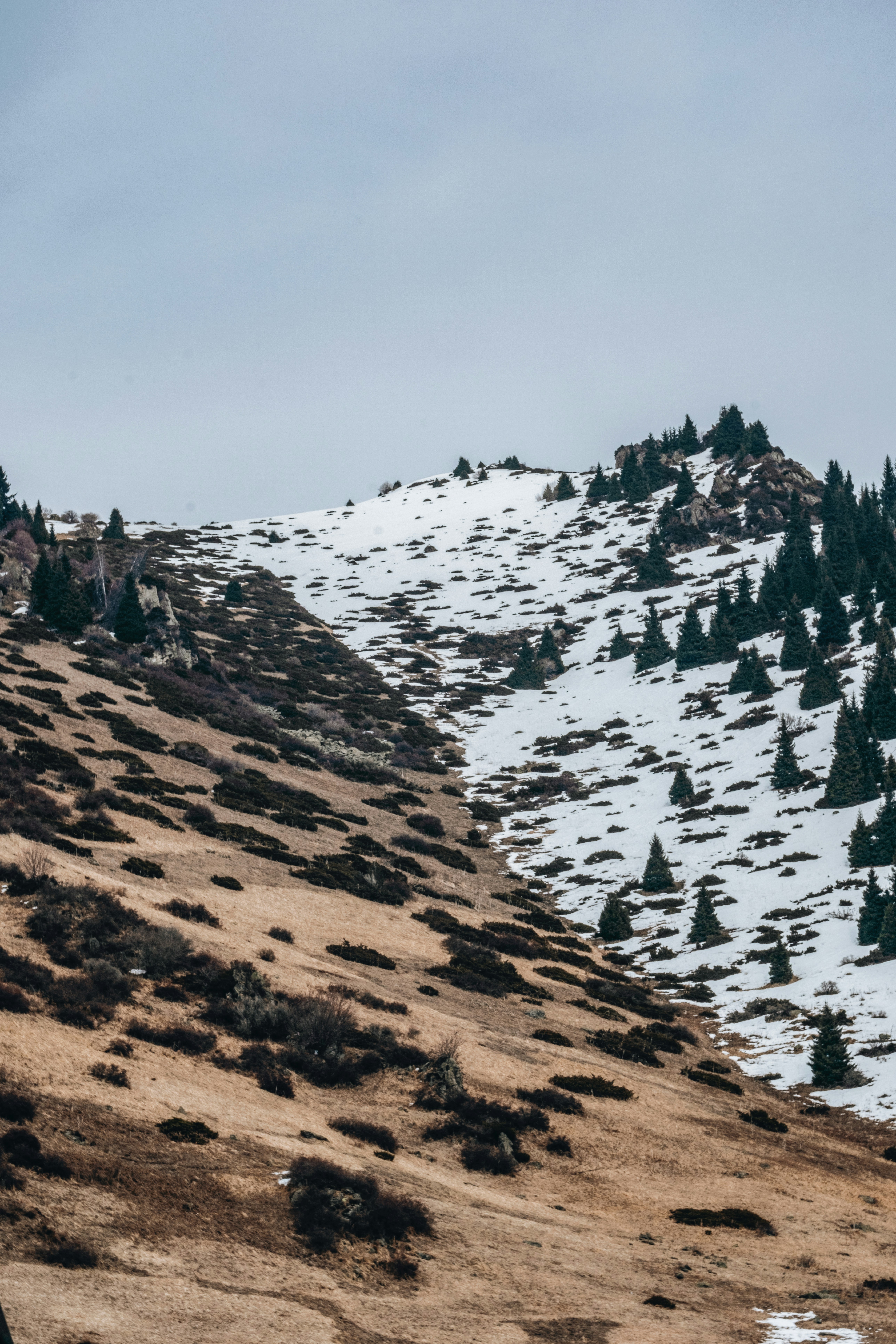 A mountain slope is split between snow and land.