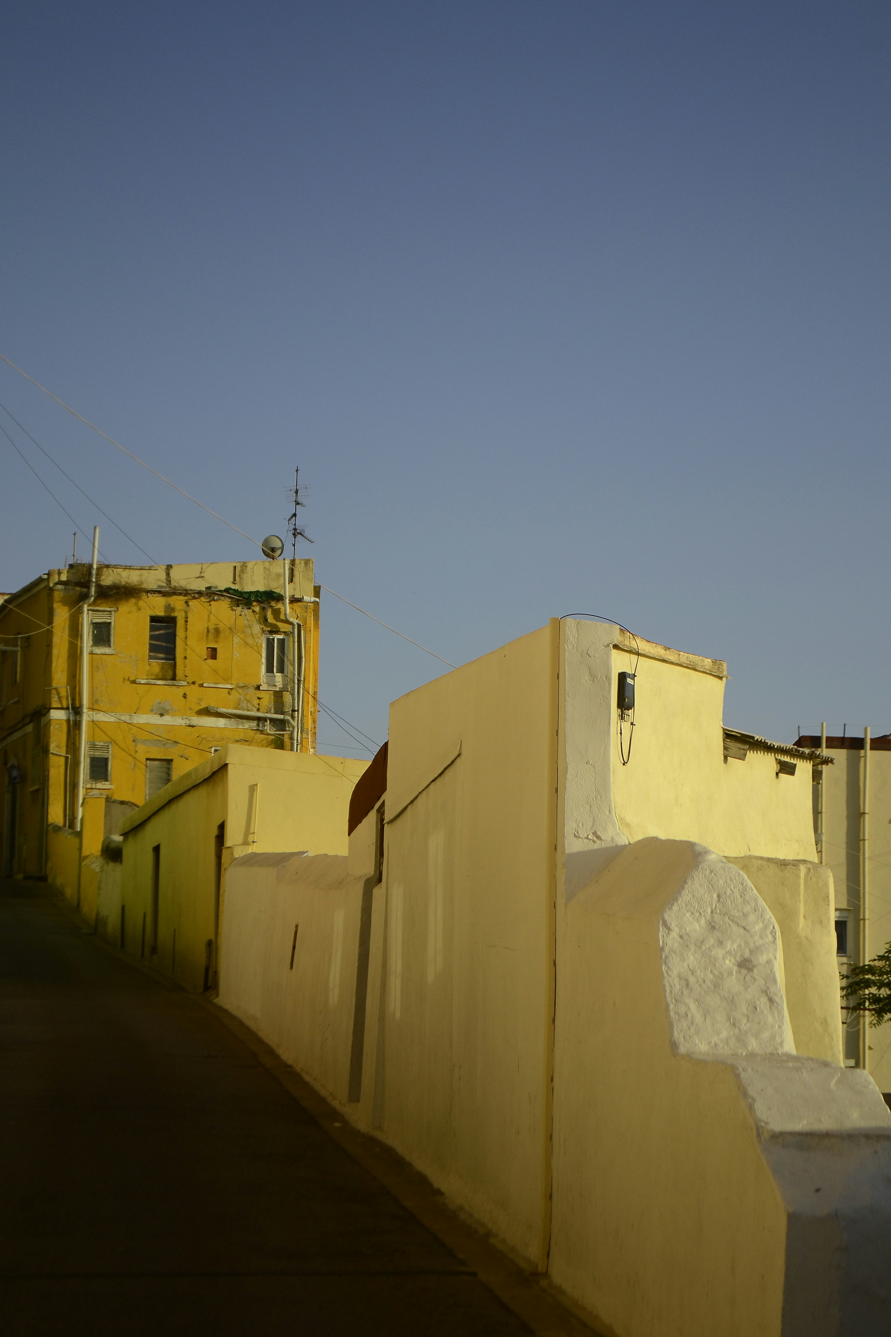 Photo by greywoolfproductions