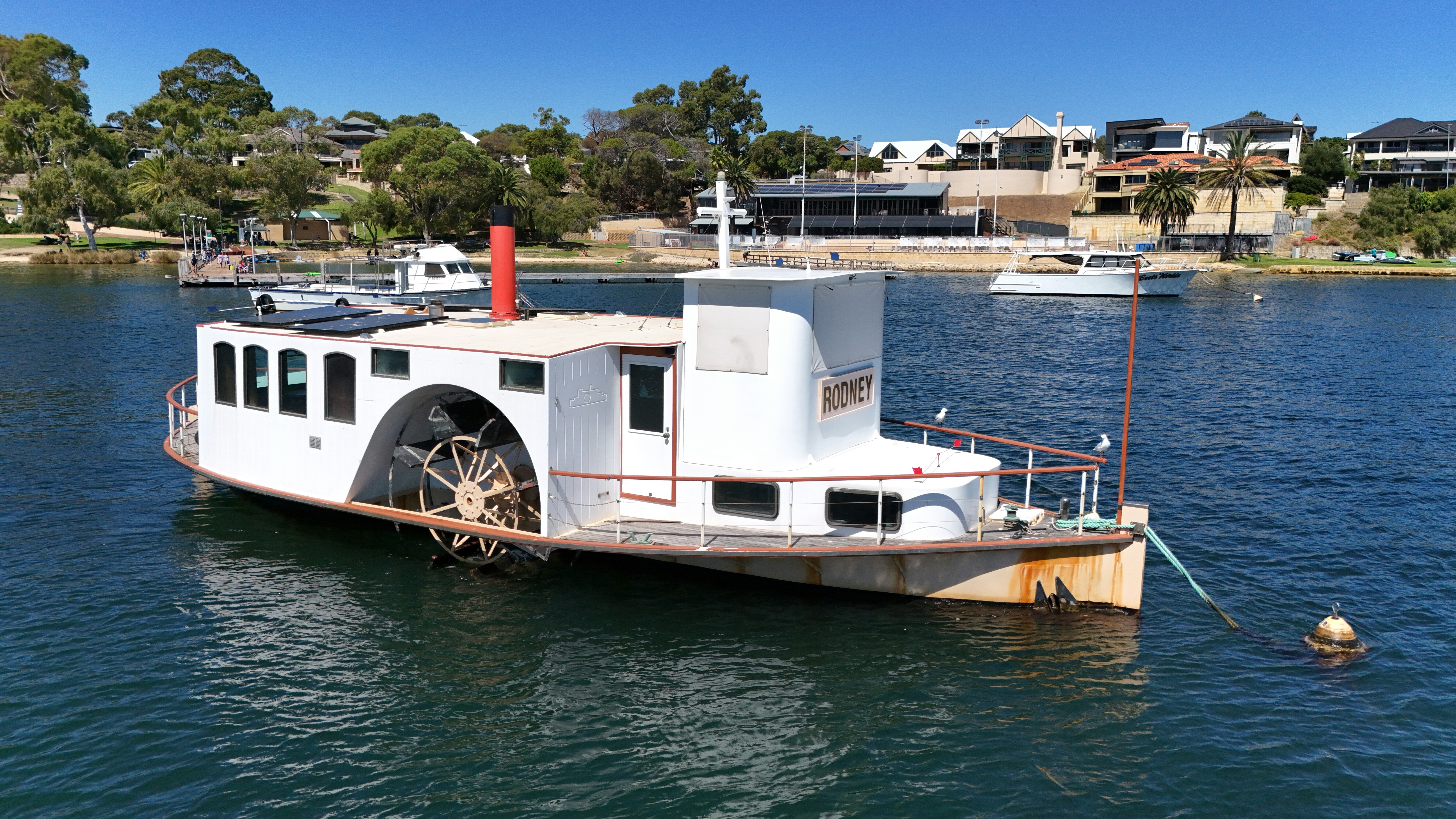 A white paddle steamer sits in the water.