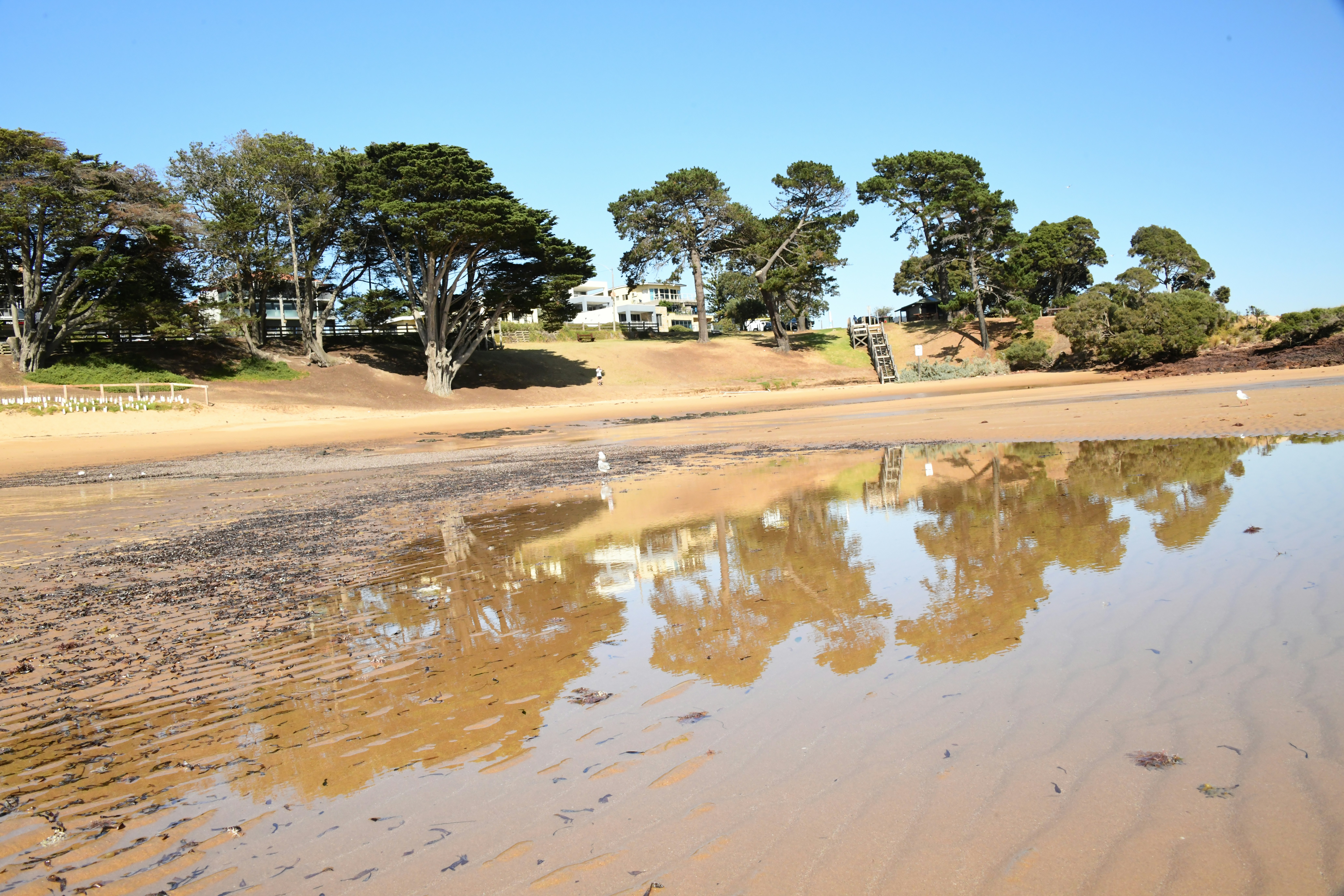 Photo by richard7seals