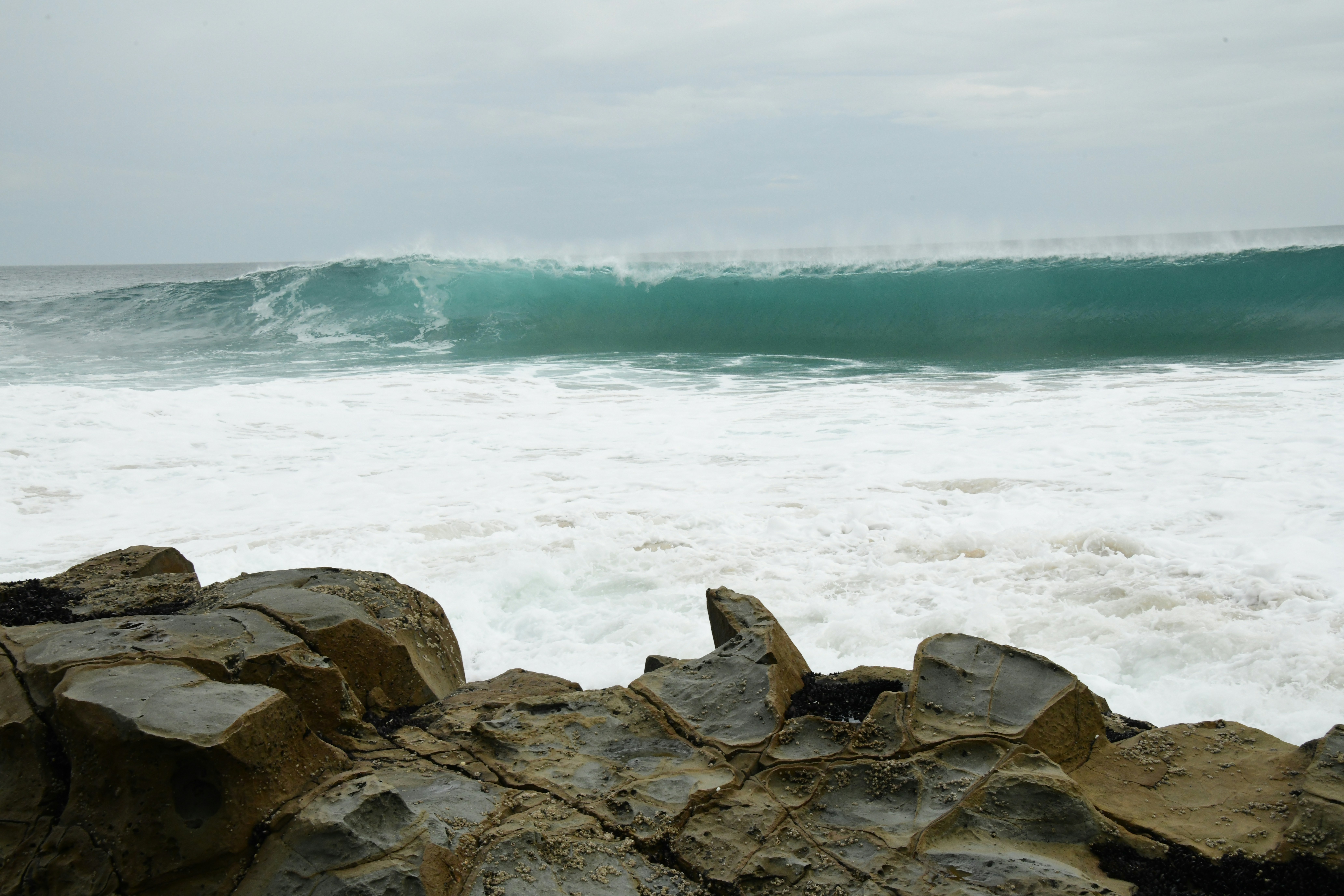 Photo by richard7seals