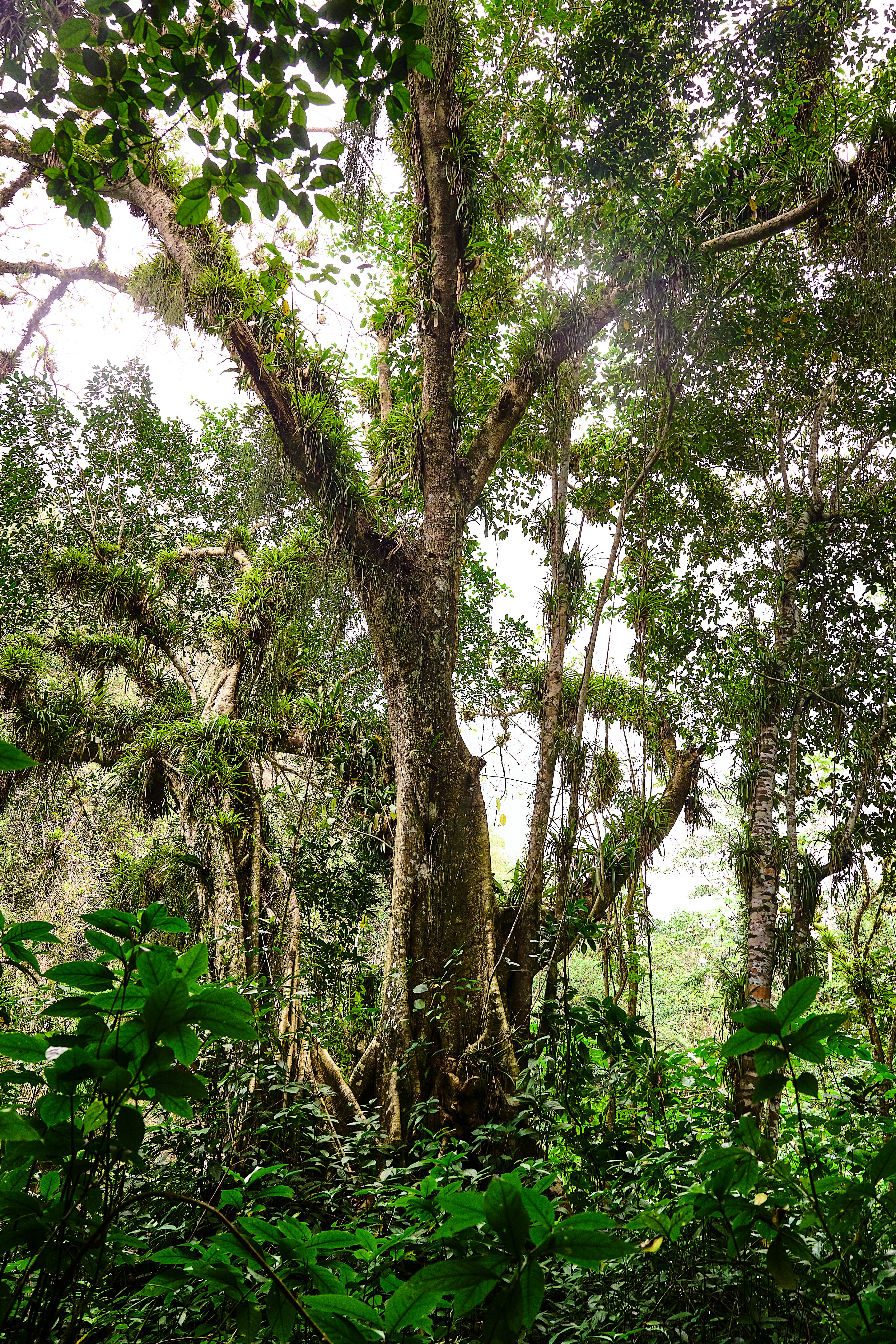 Photo by photo_light_harmony