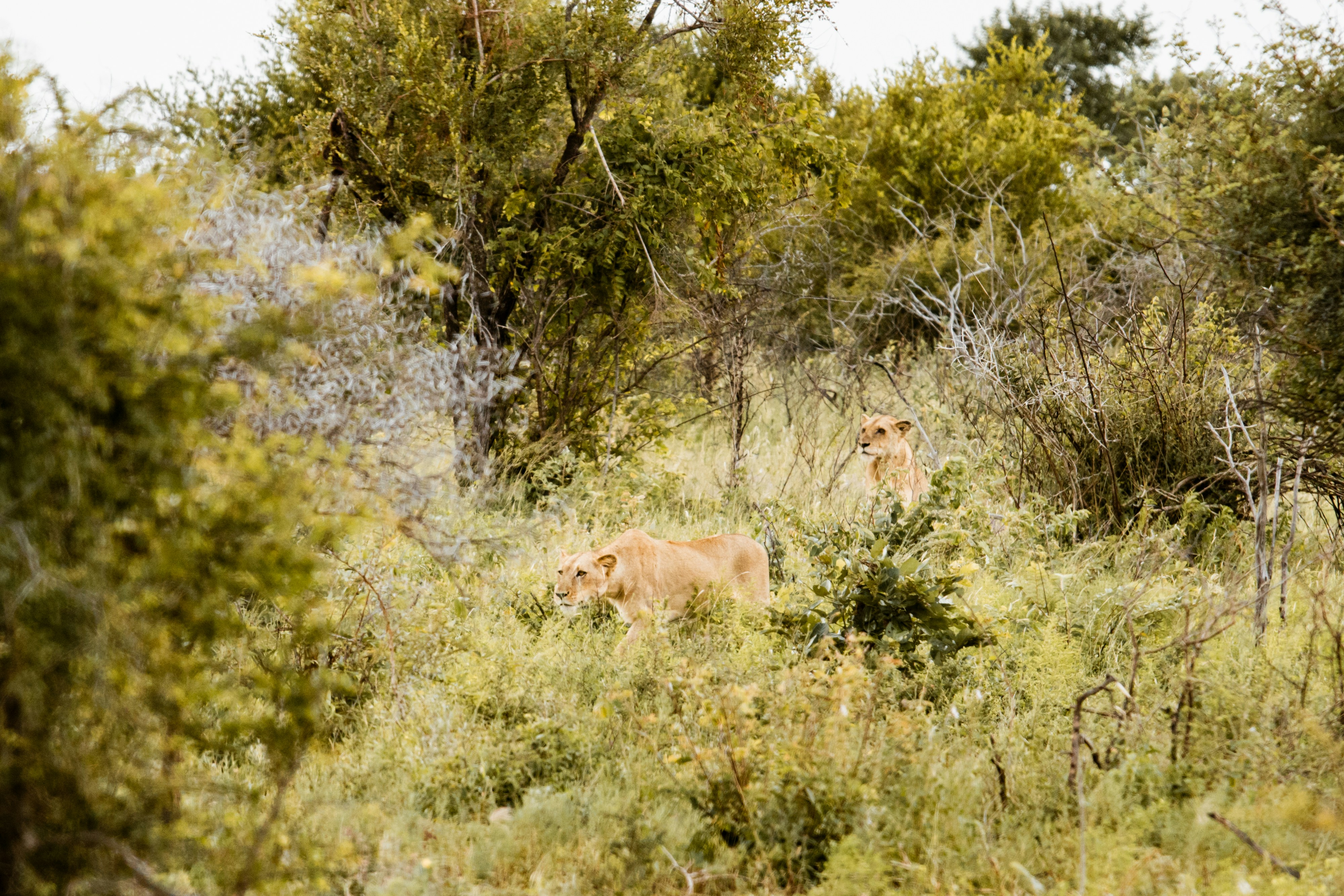 Photo by emilipothese