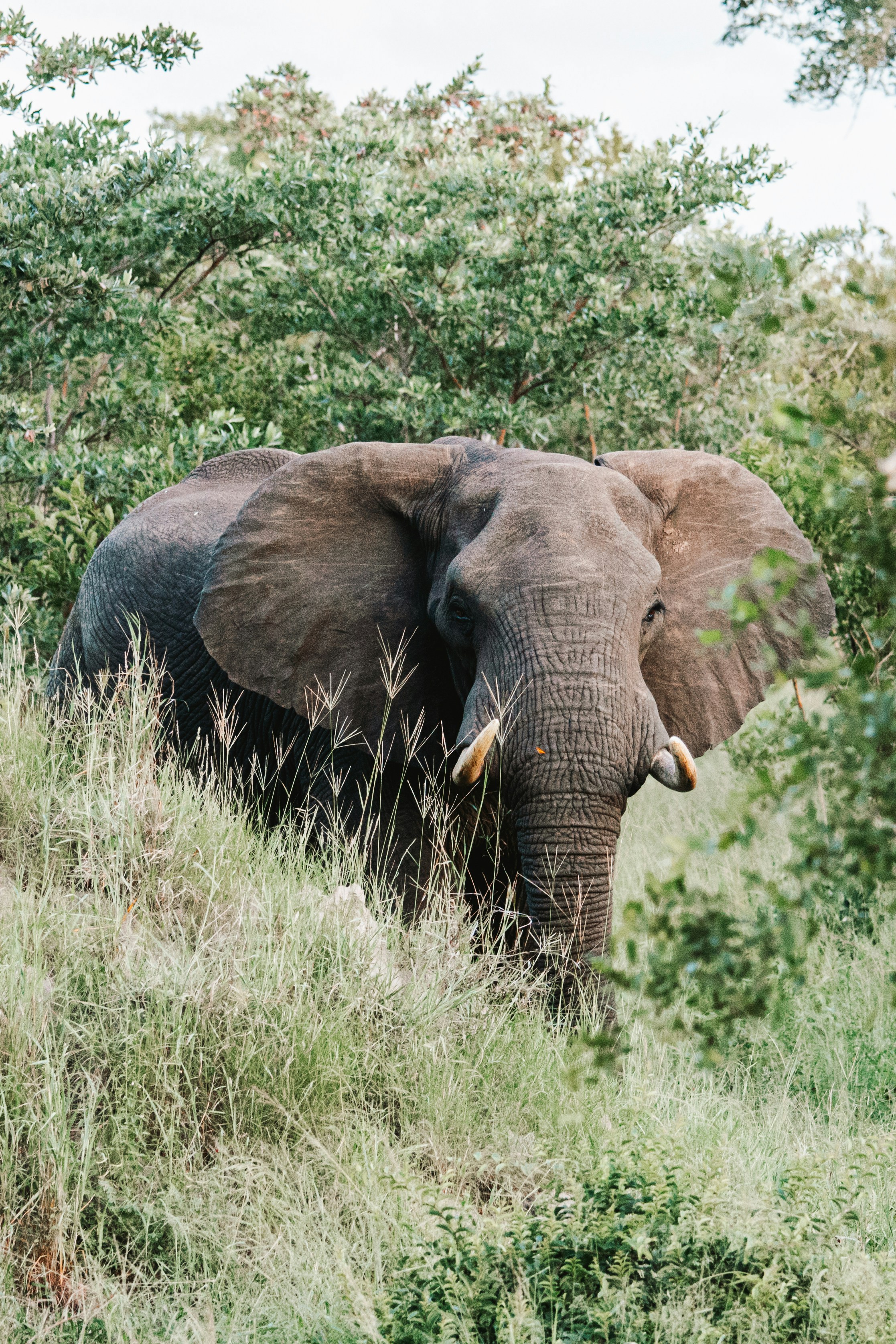 Photo by emilipothese