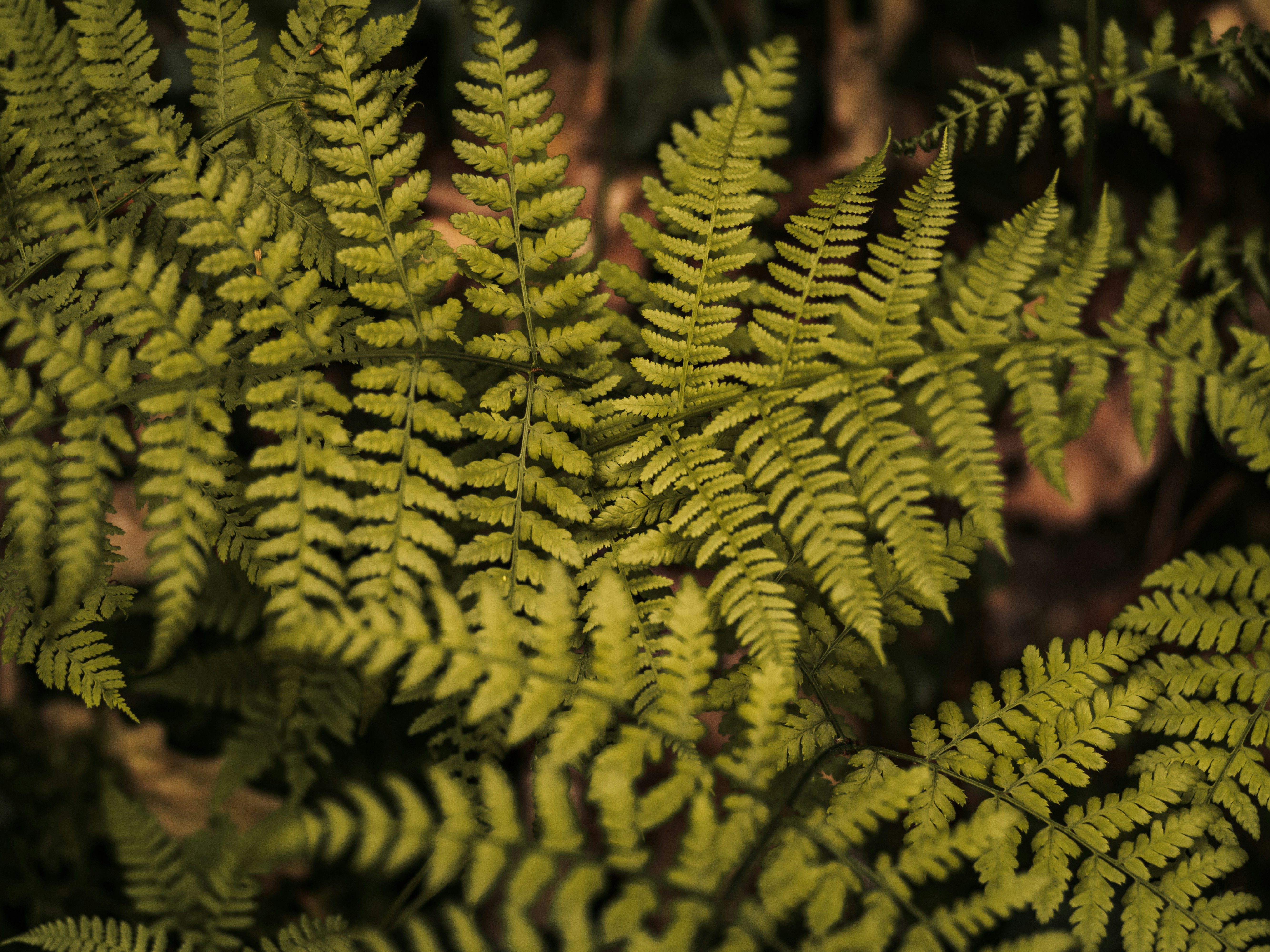 Photo by emilipothese