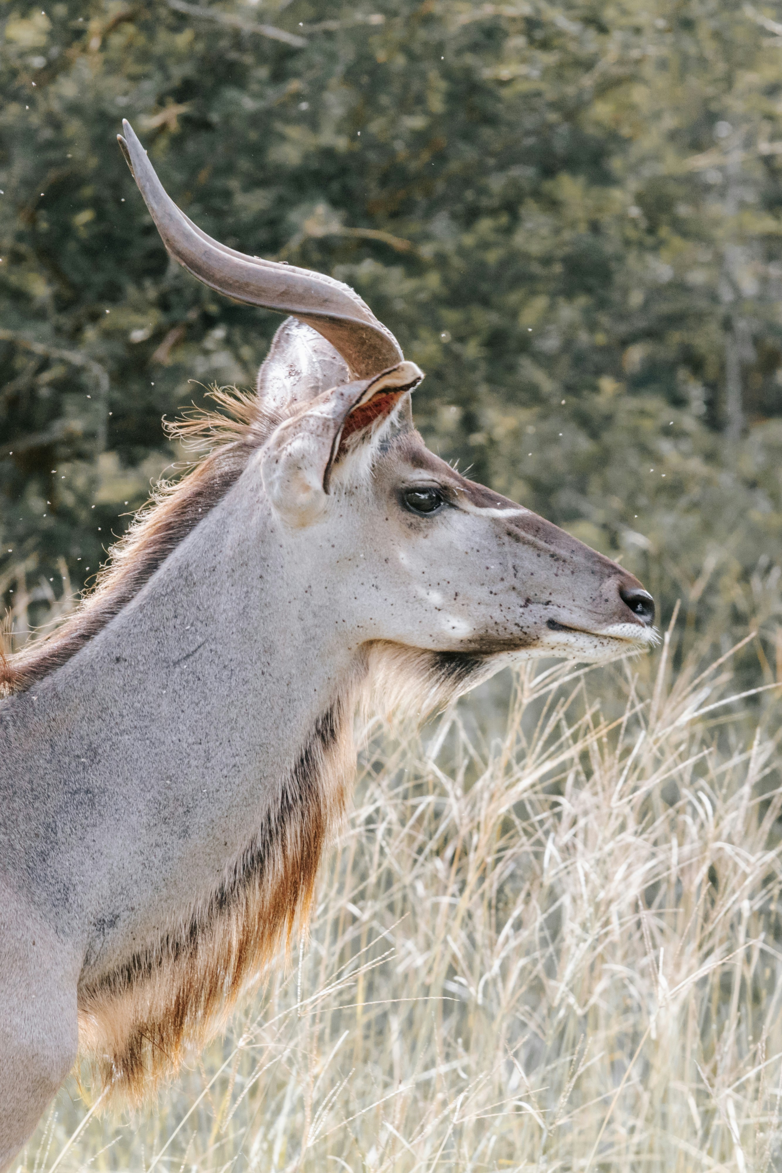 Photo by emilipothese