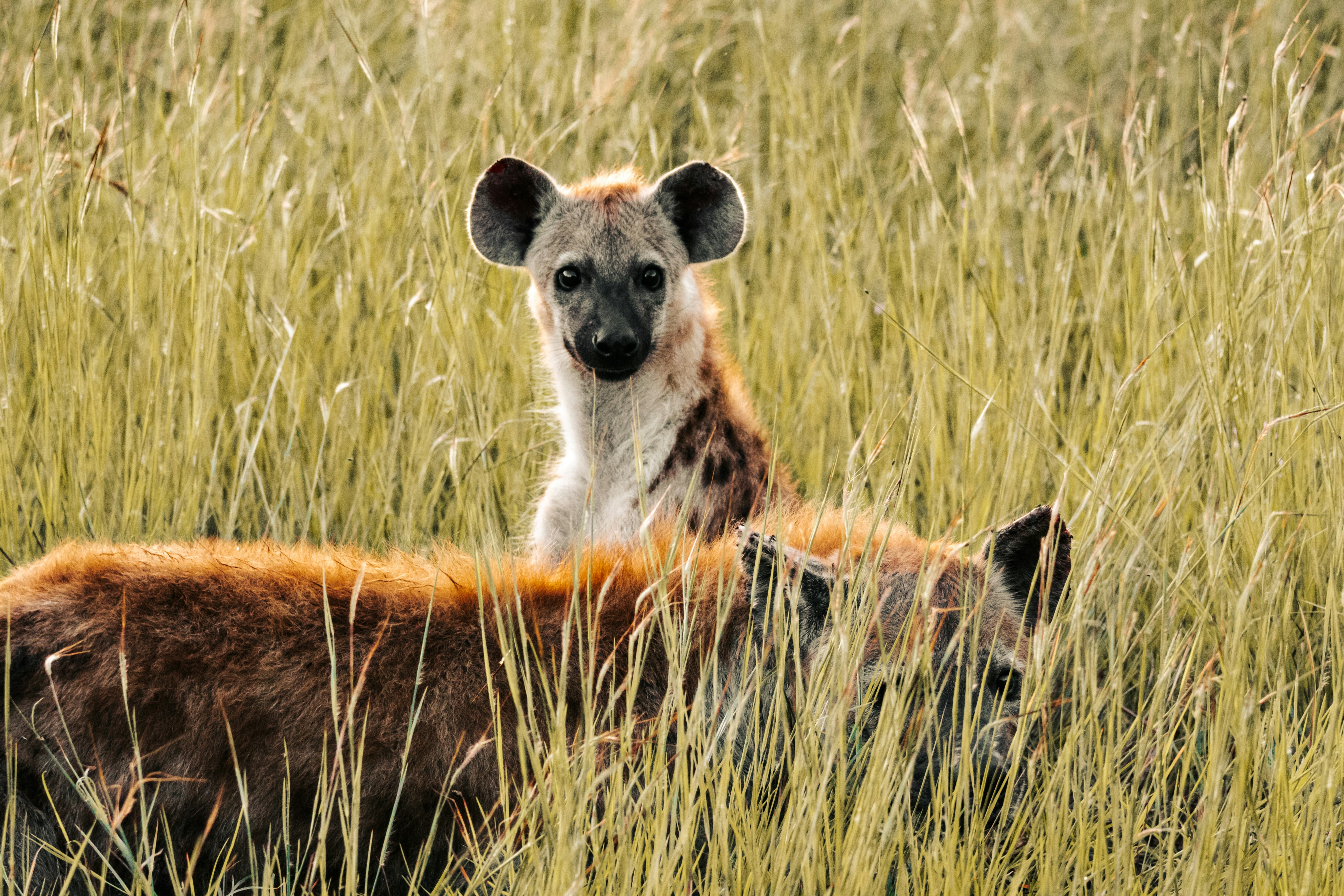 Photo by emilipothese