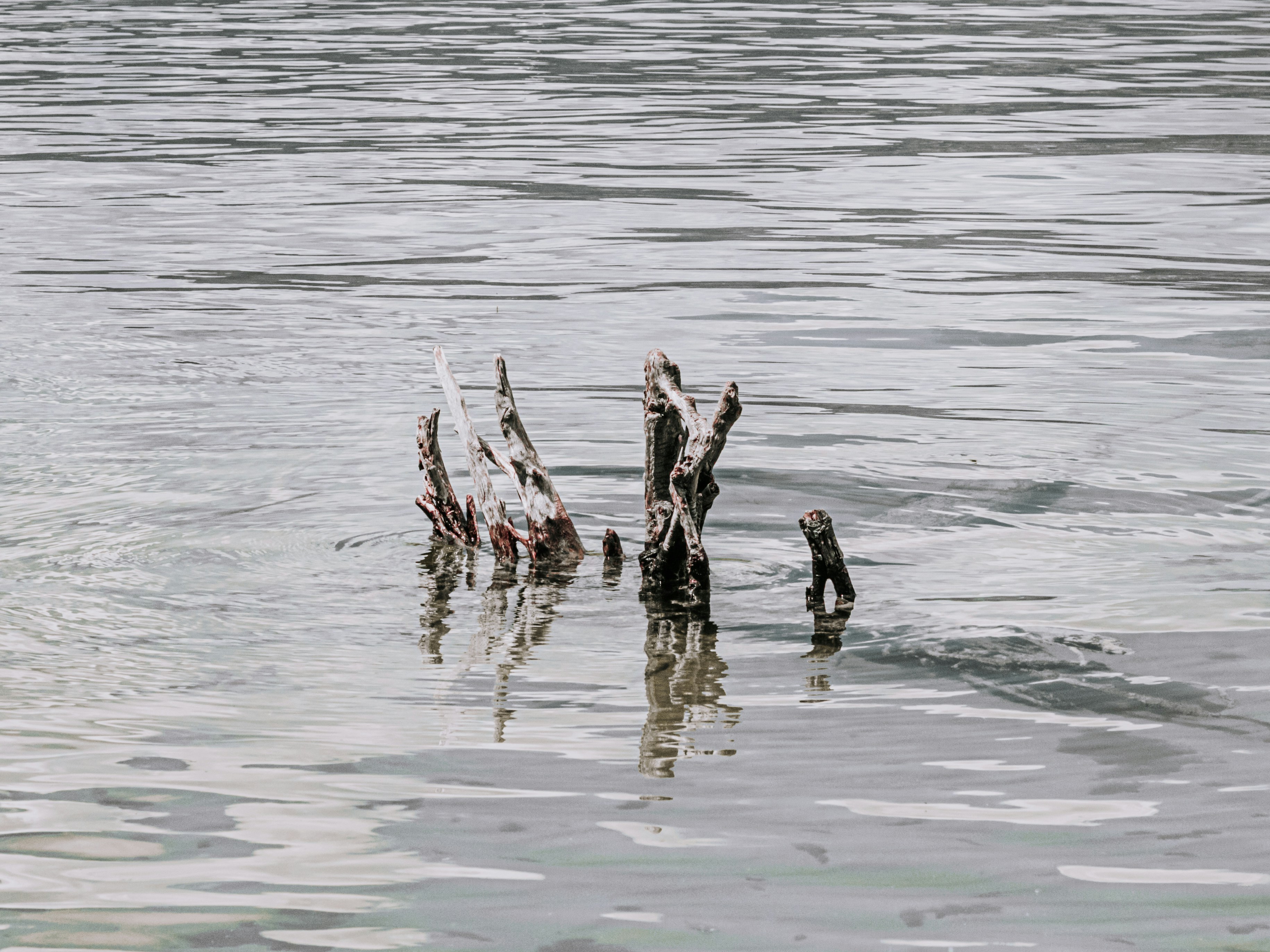 Photo by emilipothese