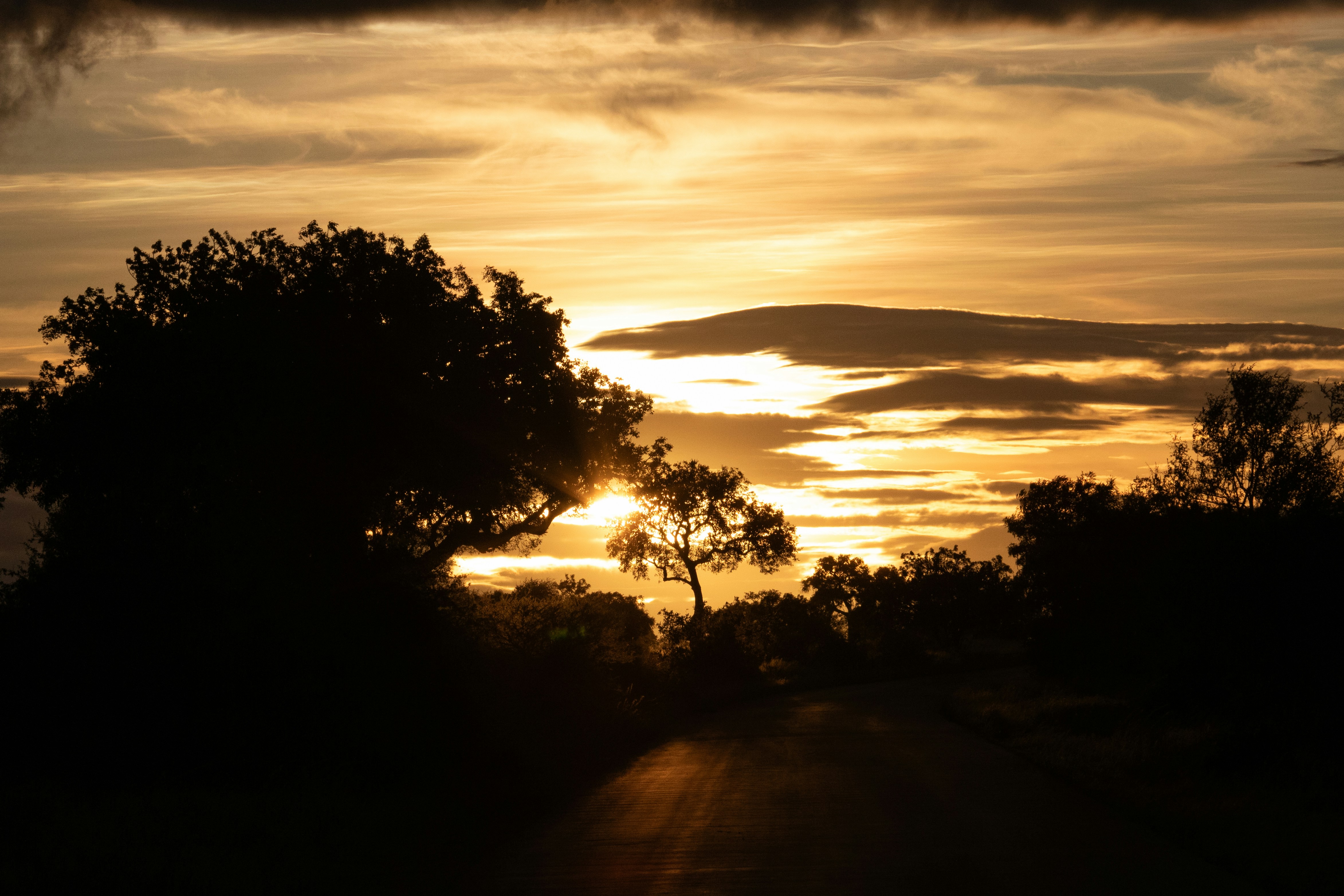 Photo by emilipothese