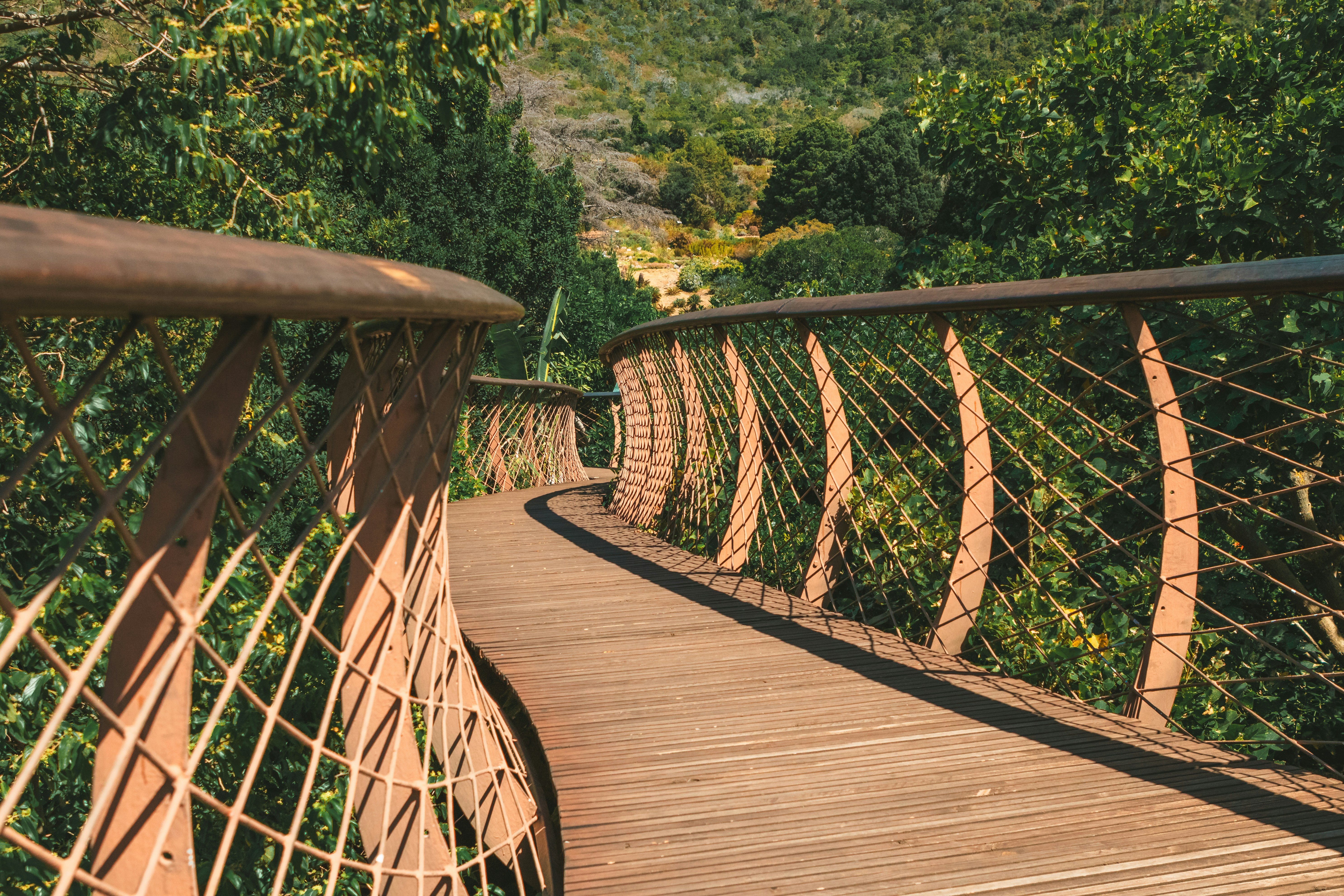 Photo by emilipothese