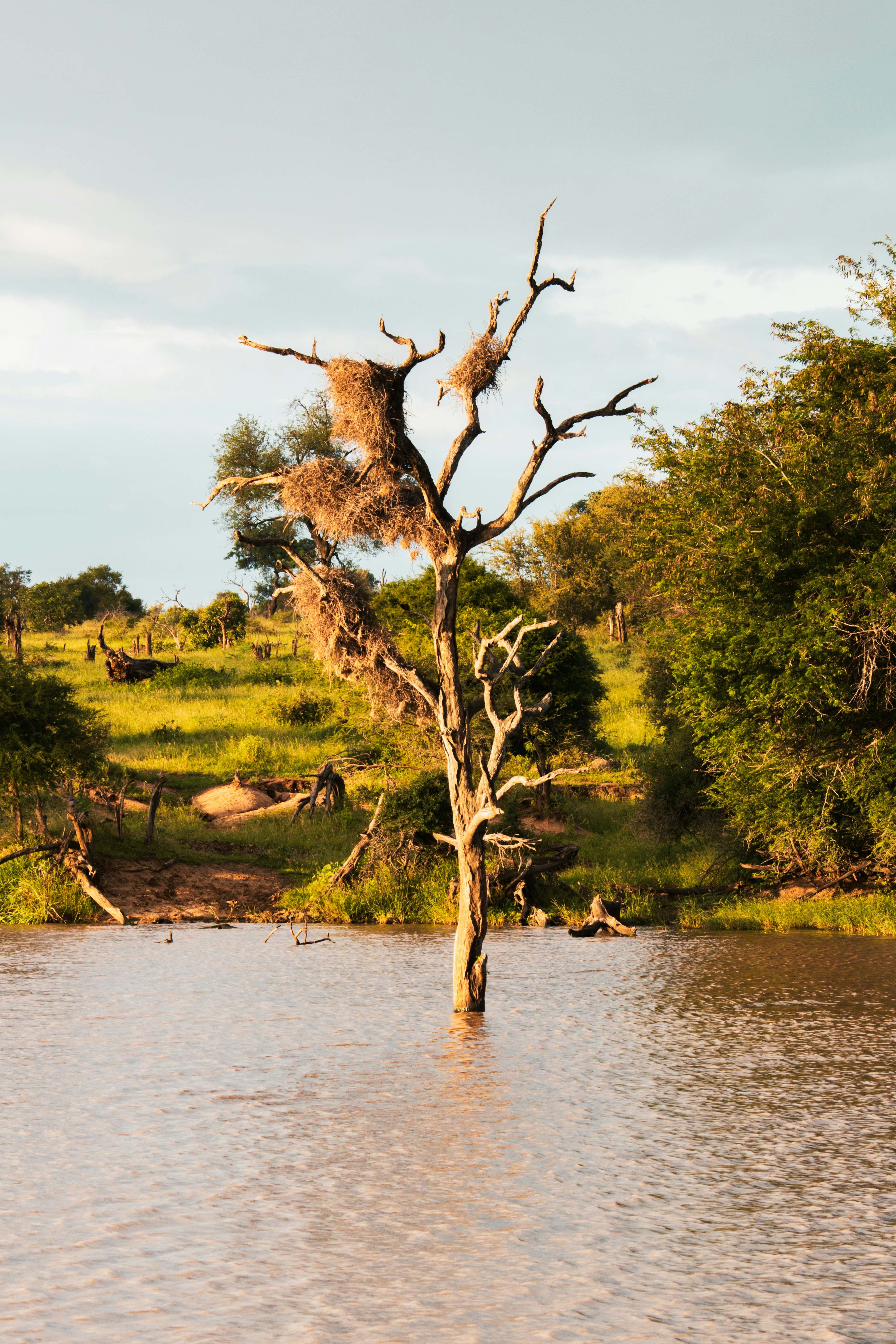 Photo by emilipothese