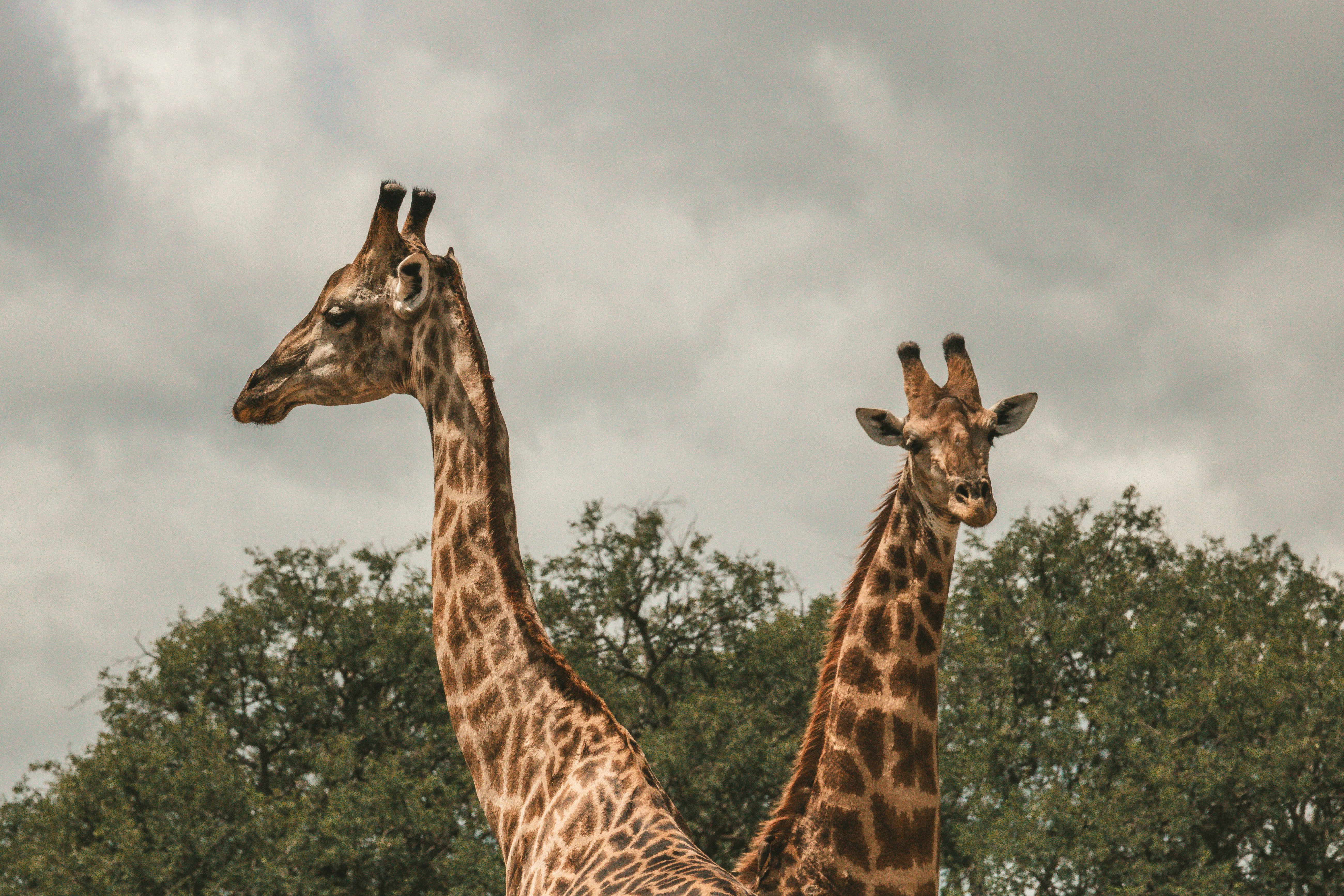 Photo by emilipothese