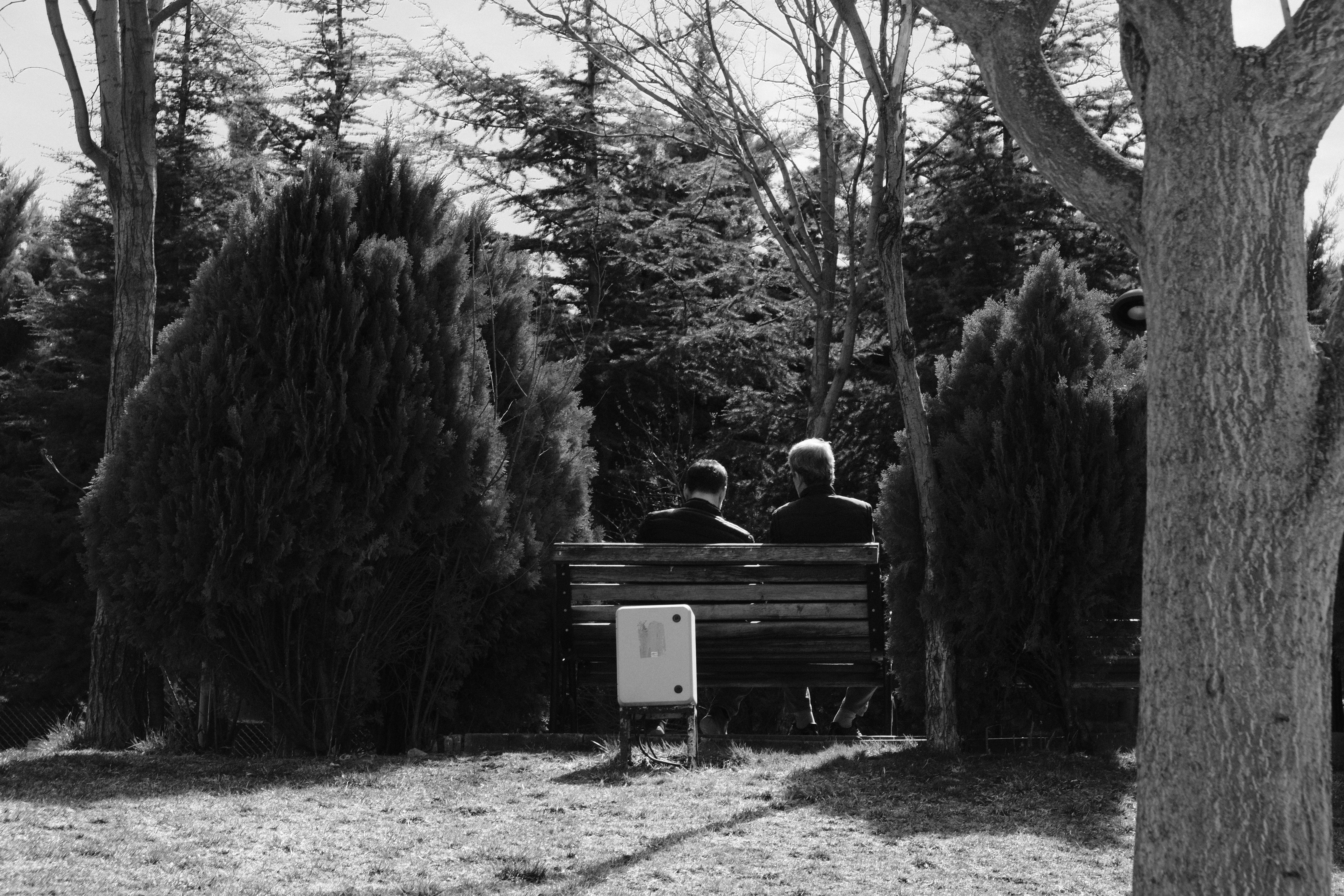 Two people sit on a park bench.