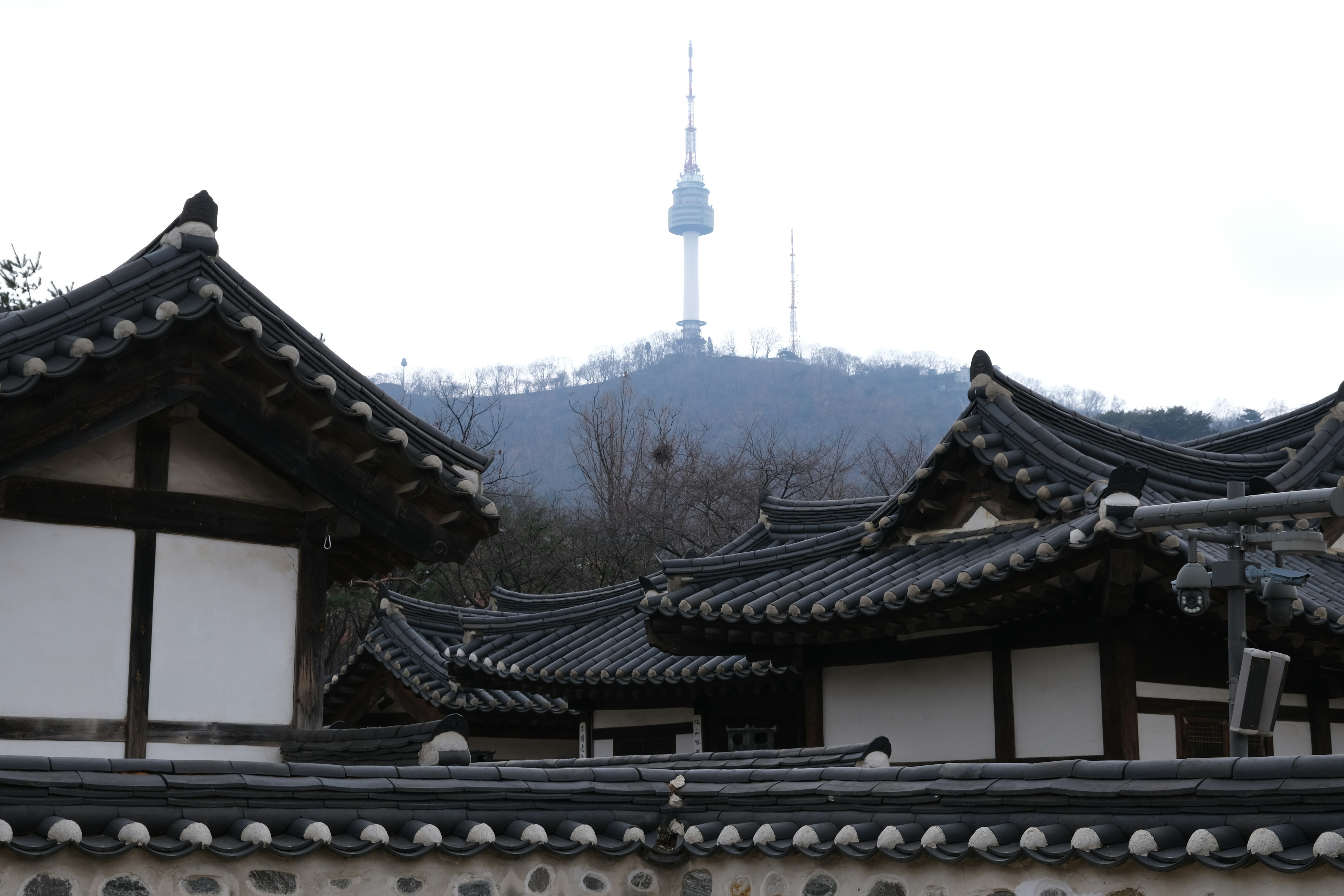 Photo by logichom