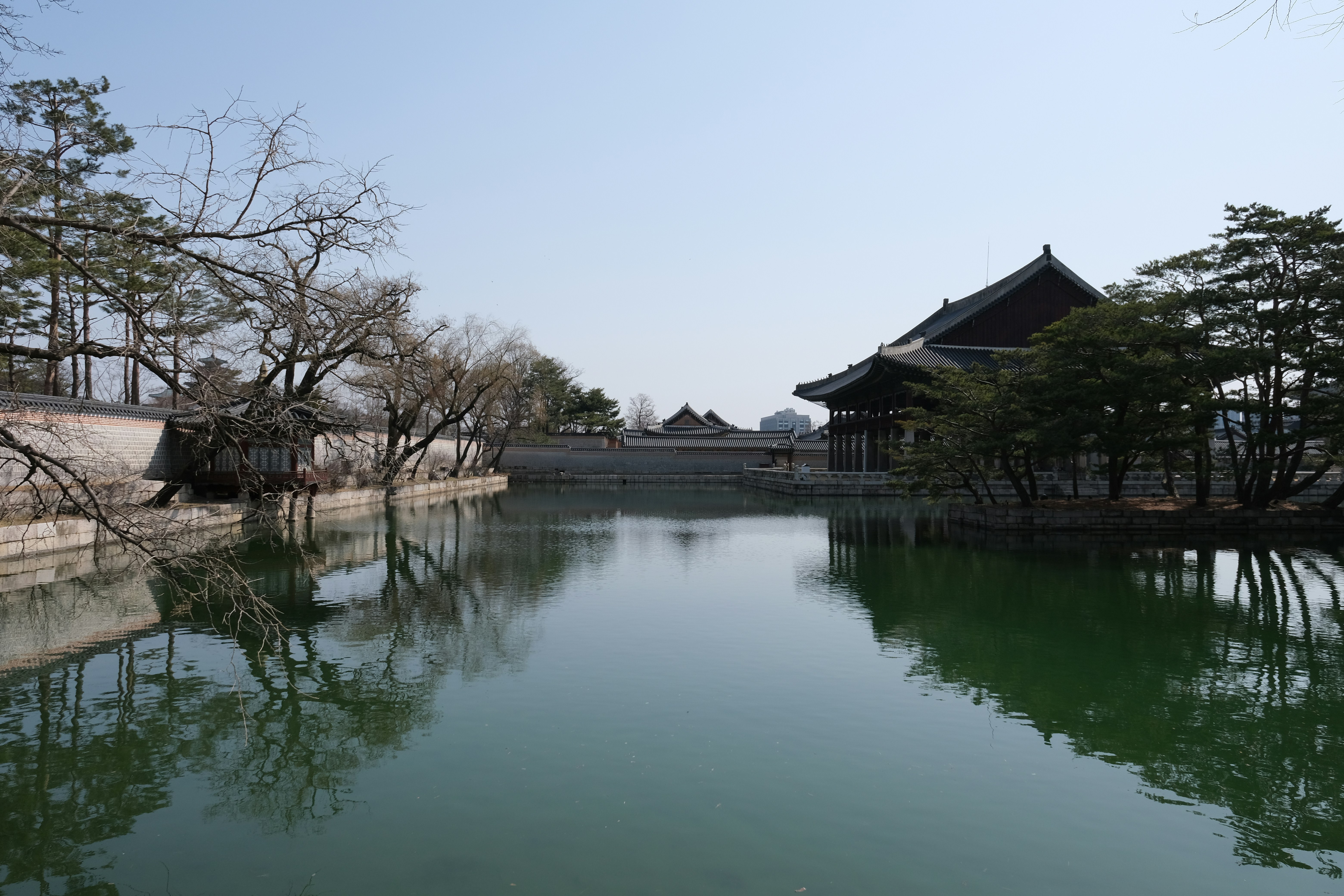 Photo by logichom