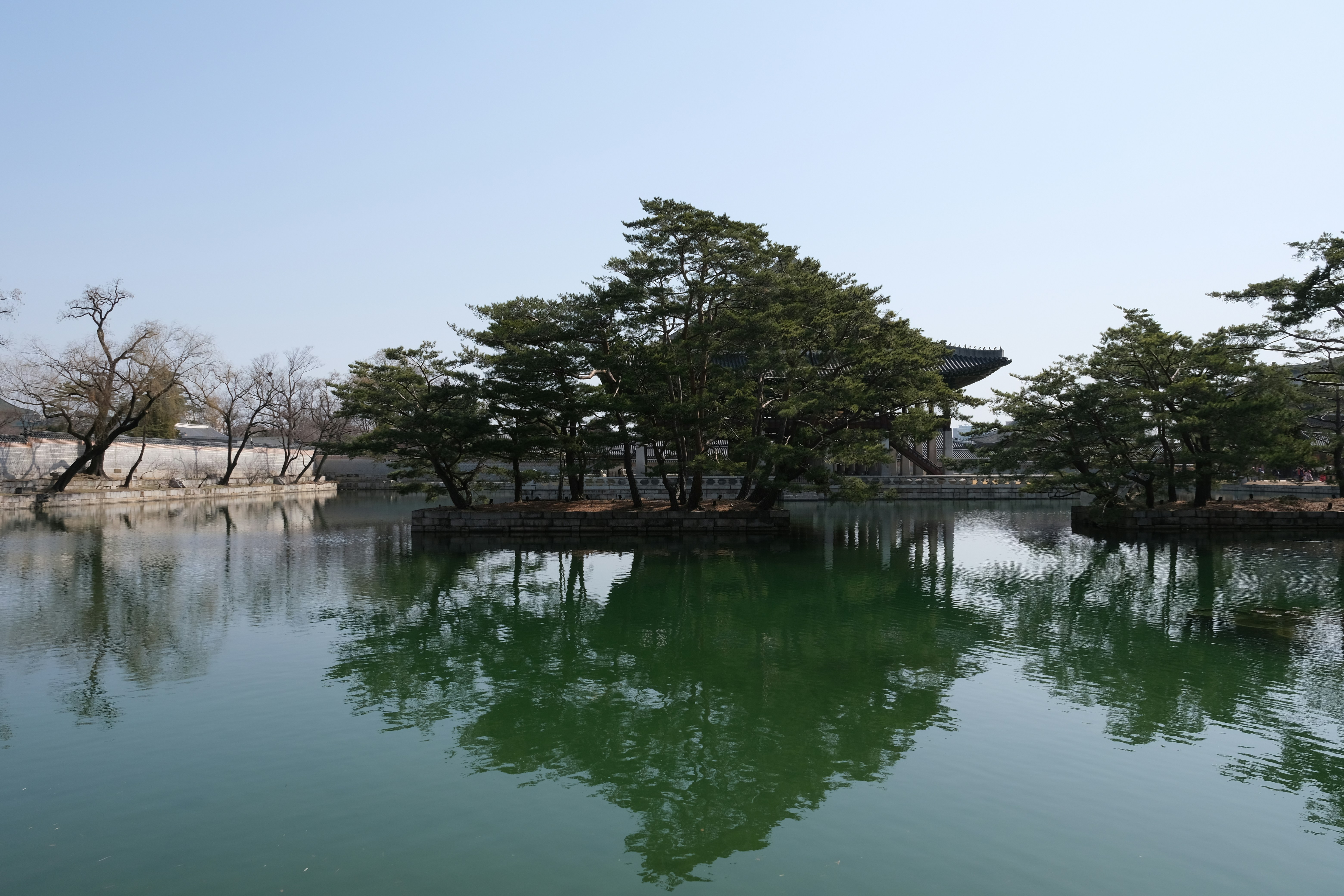 Photo by logichom