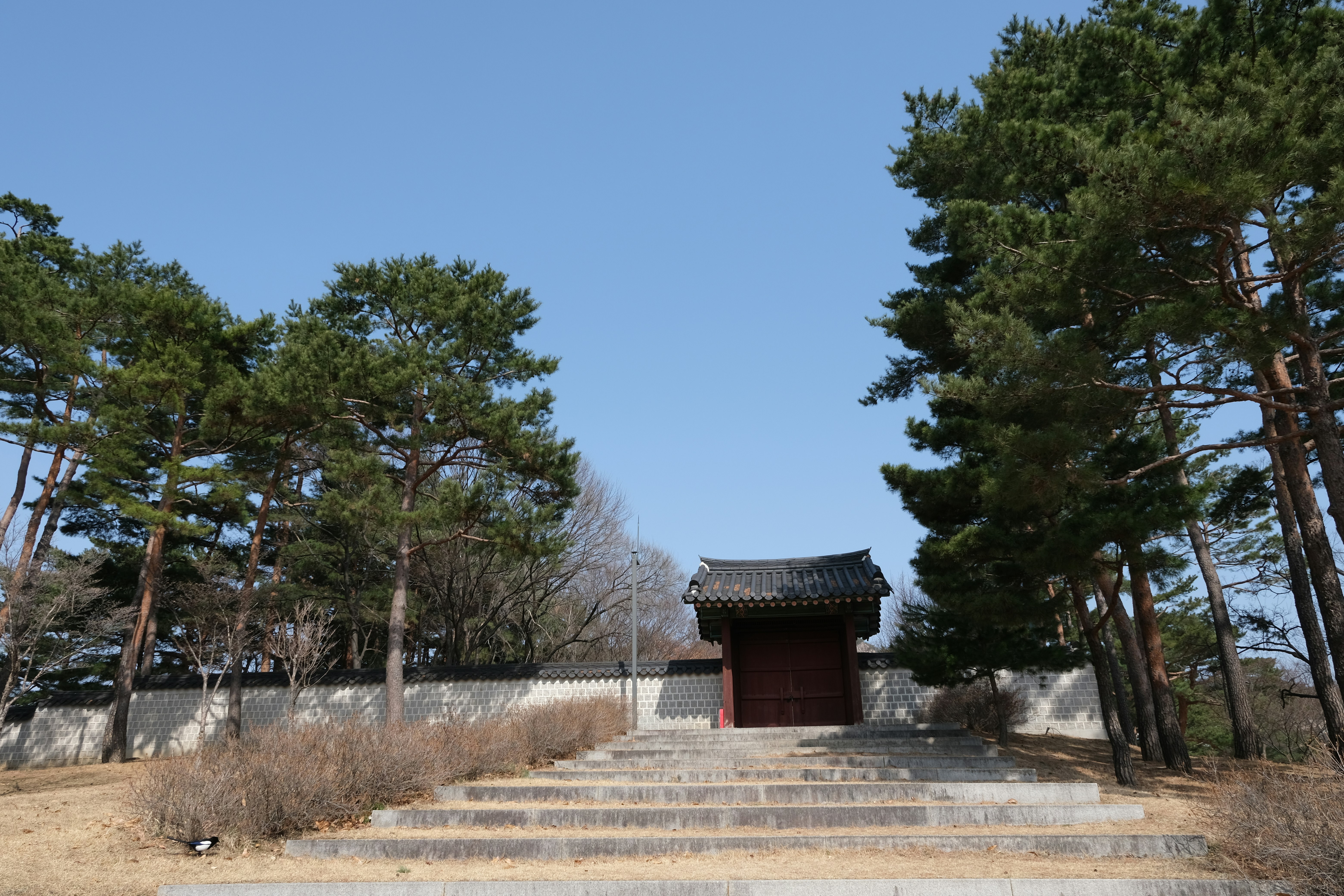 Photo by logichom