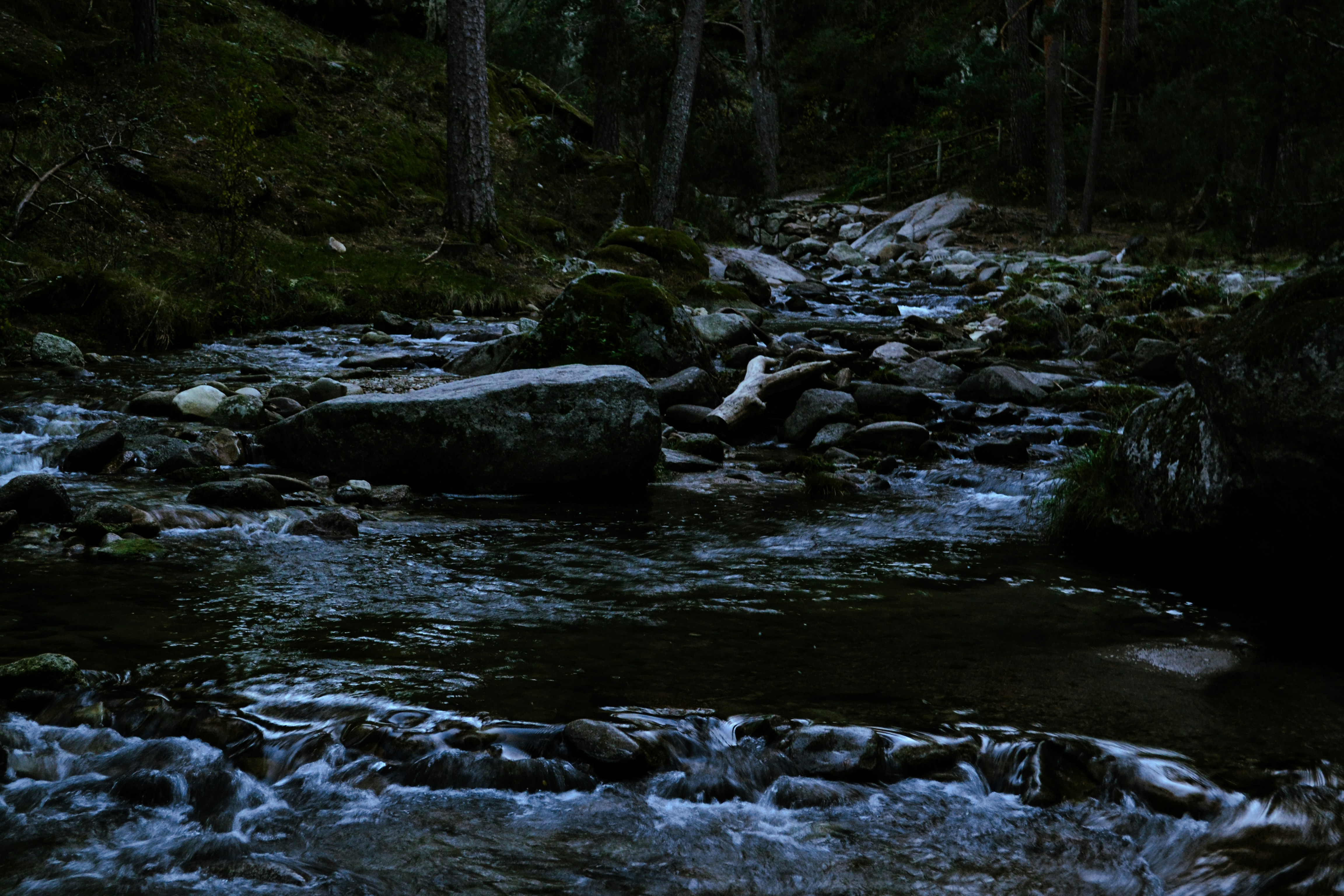 Photo by picsbydenisa