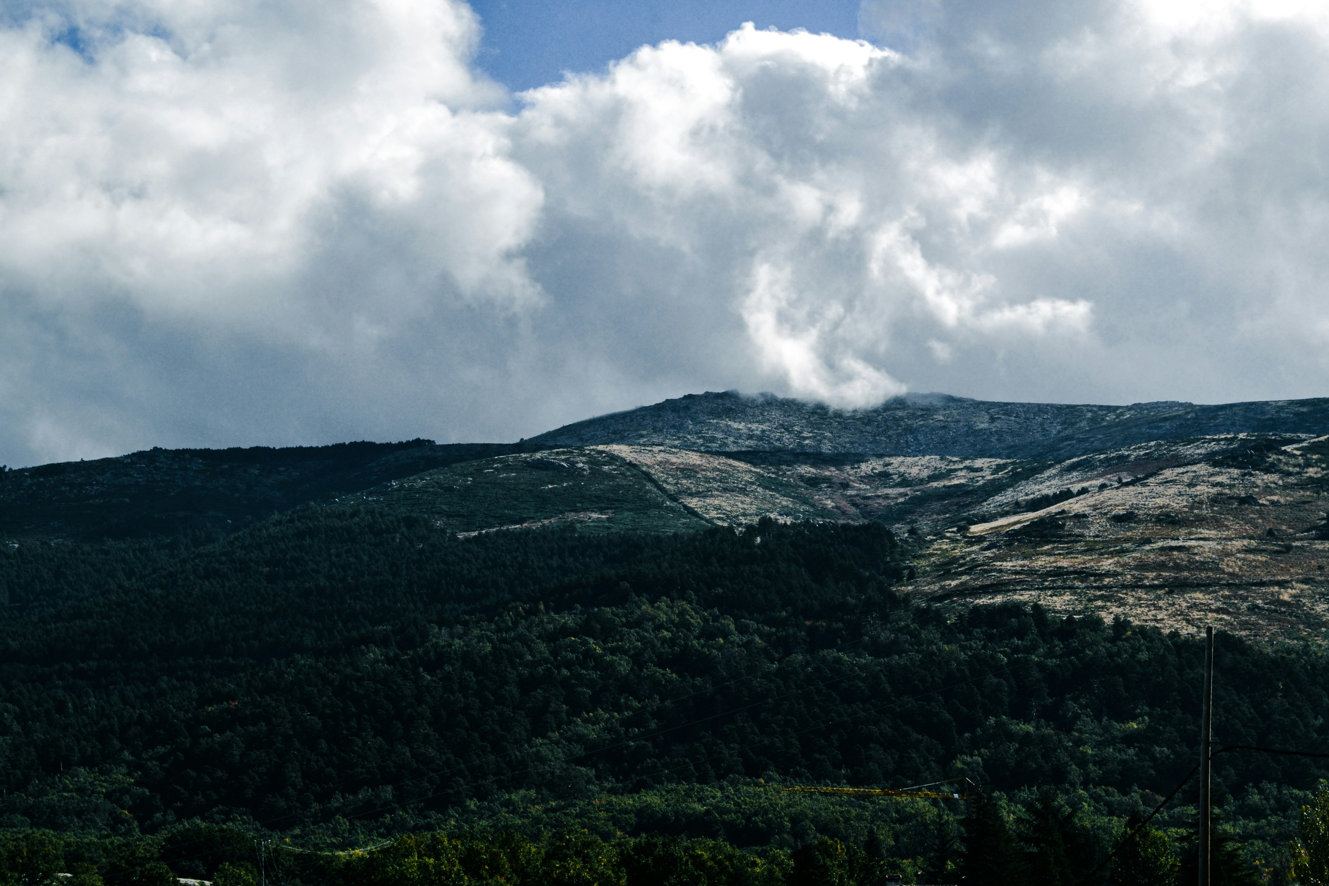 Photo by picsbydenisa