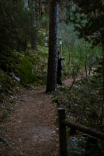 A forest path leads towards a figure.