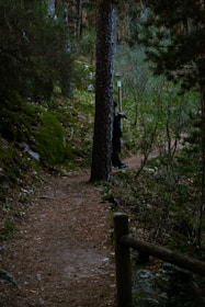 A forest path leads towards a figure.