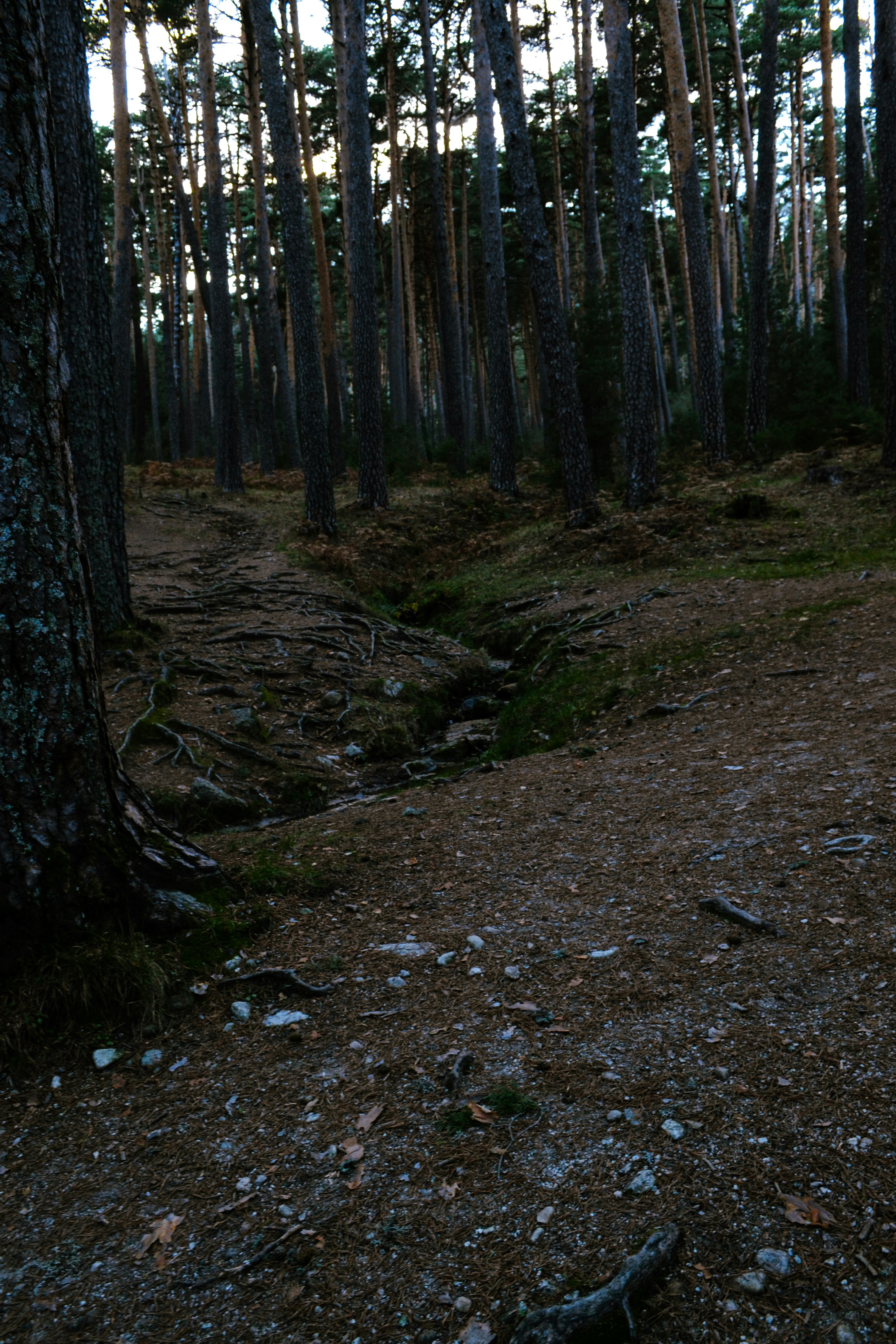 Photo by picsbydenisa