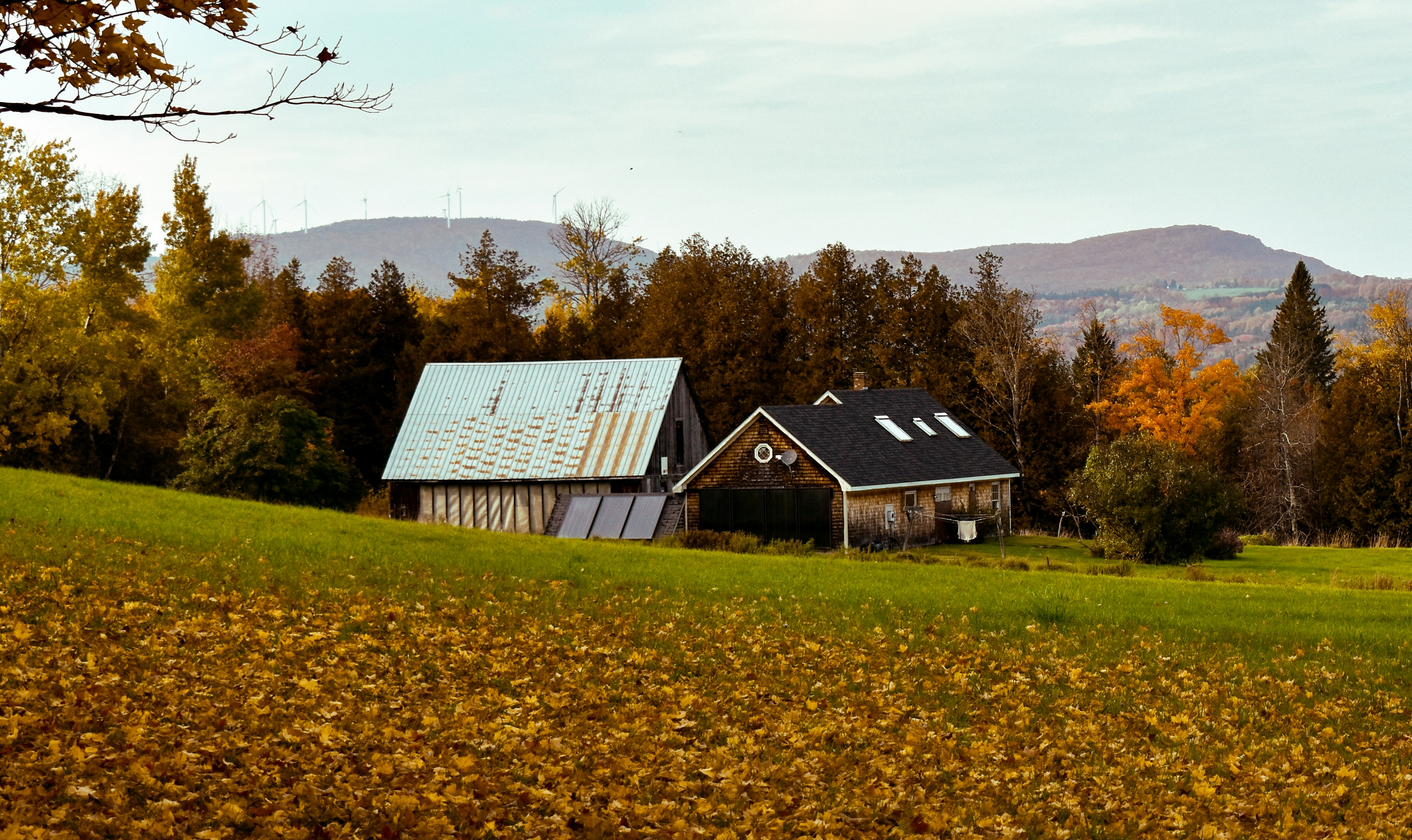 Photo by lxsphotography