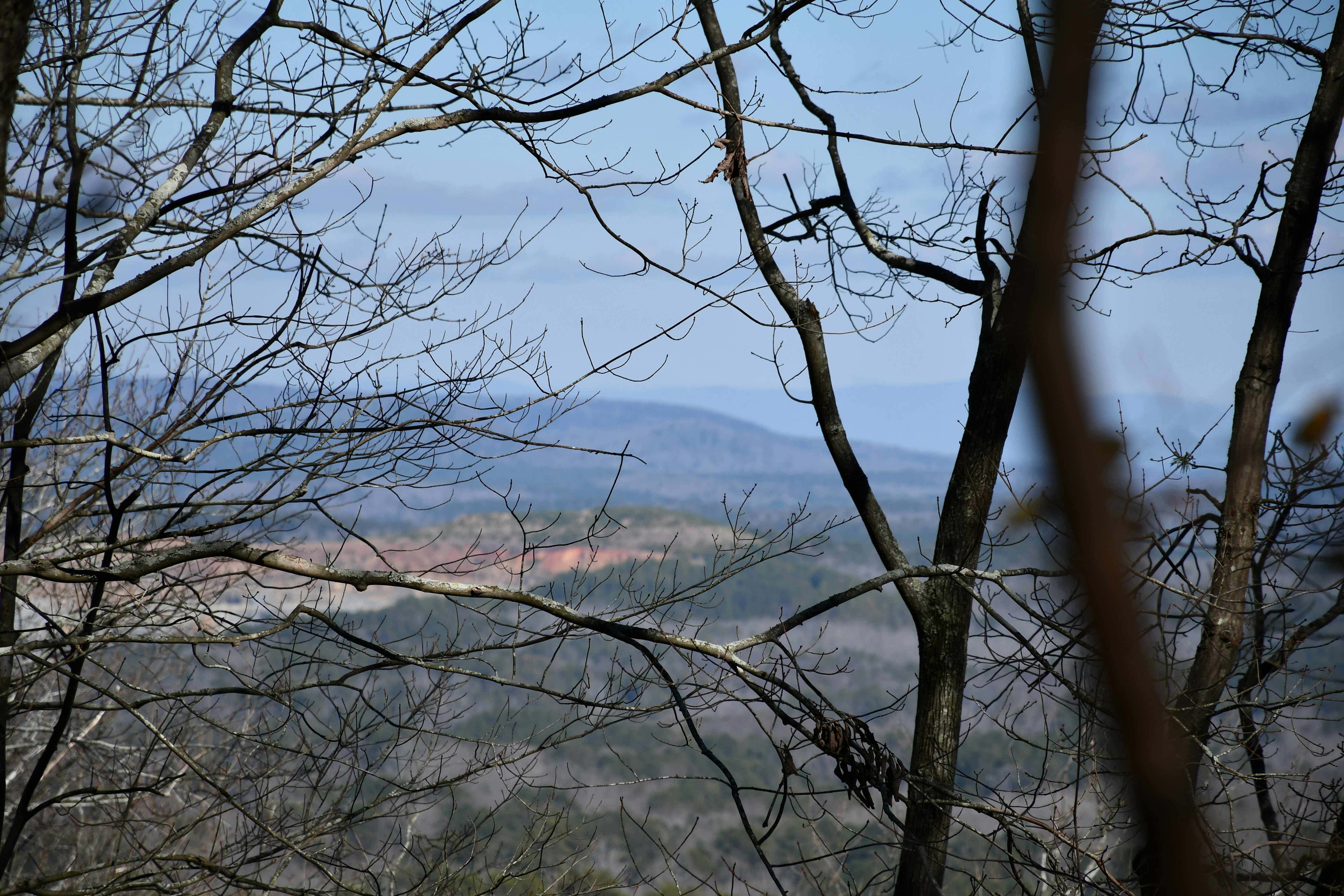 Photo by naturalist_boat