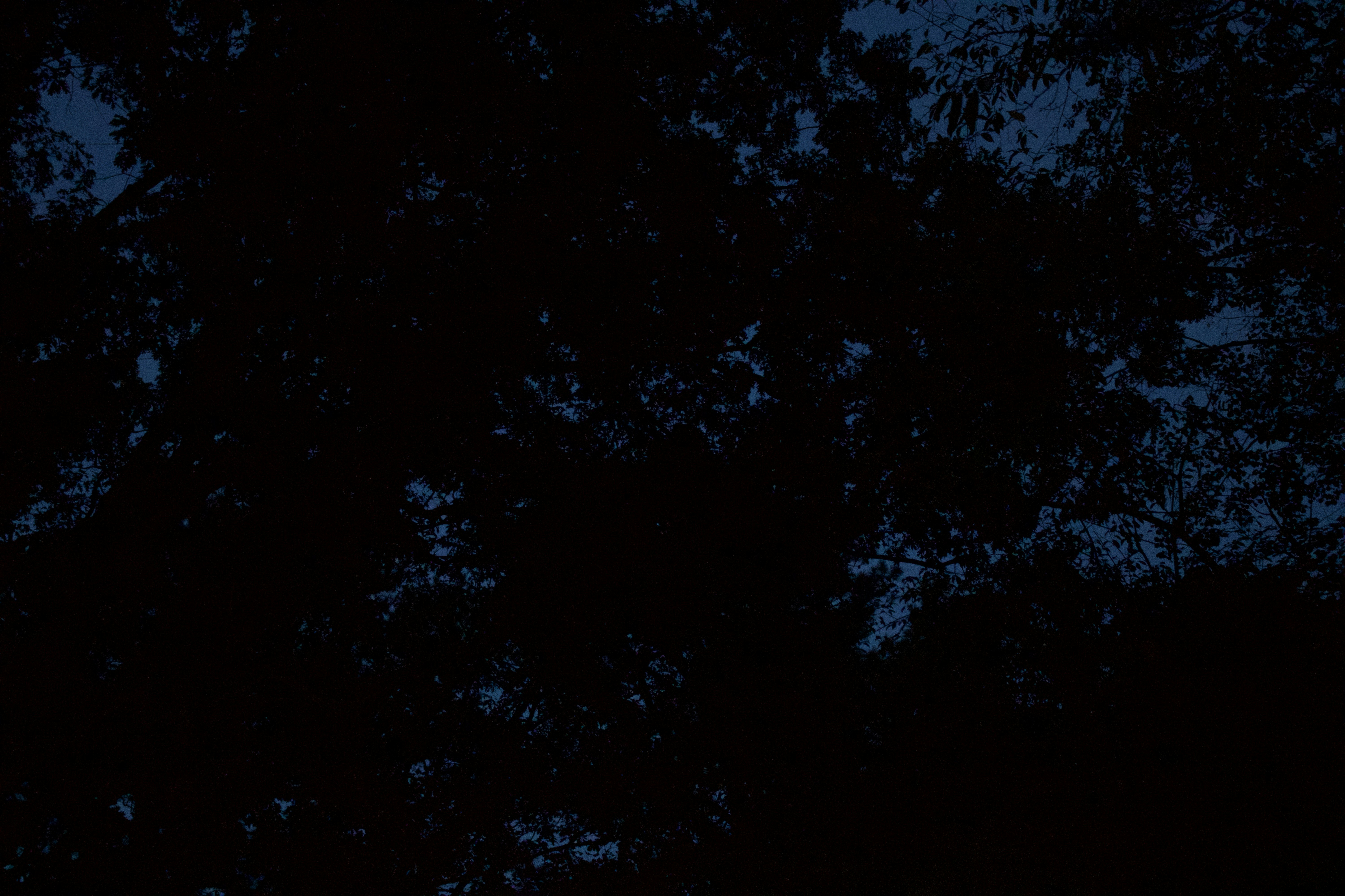 Photo by naturalist_boat