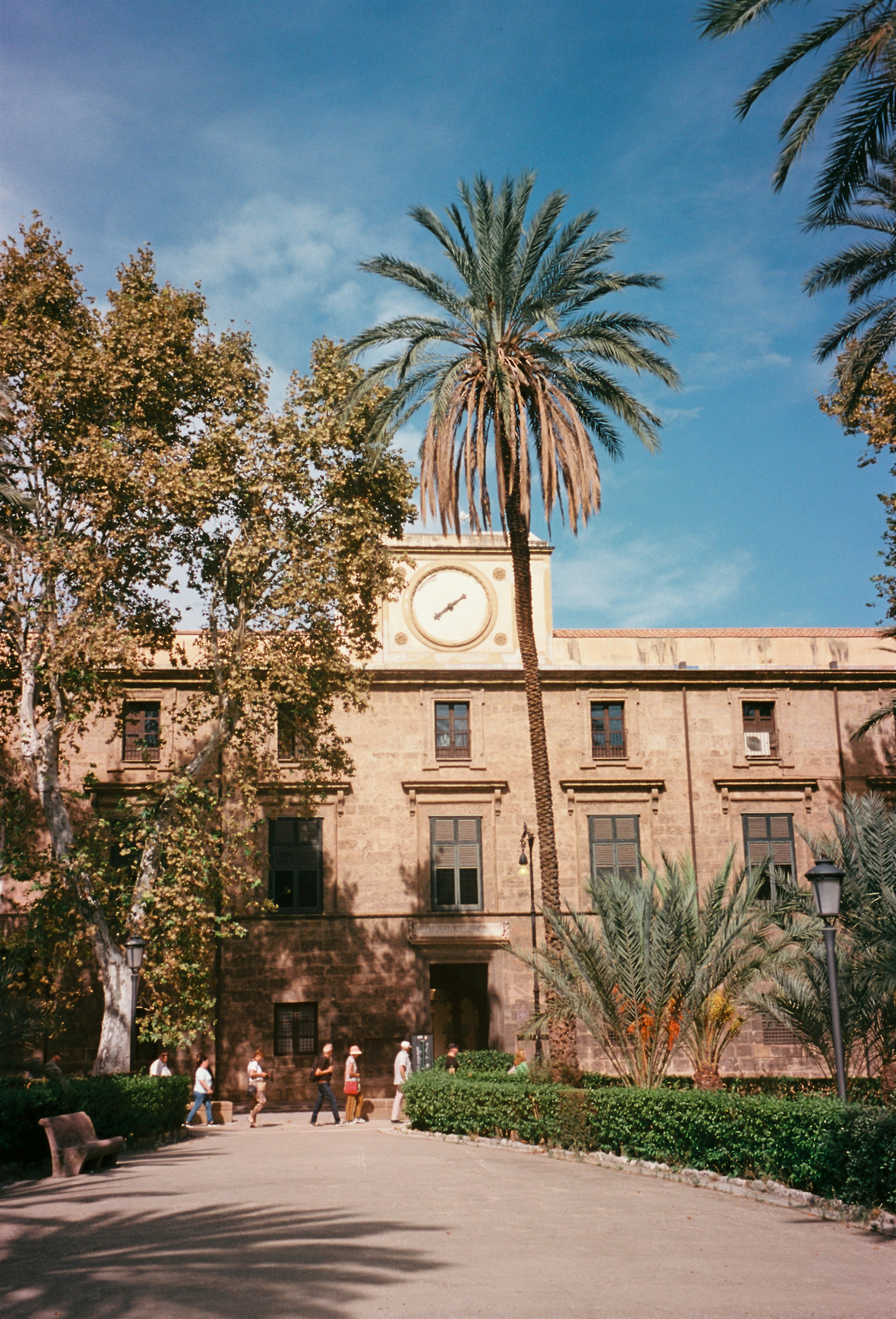 A clock tower and palm trees in a sunny day.